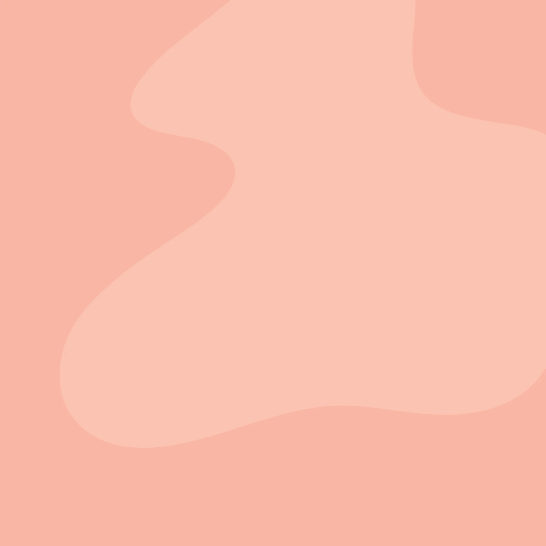 Programme 0.25$ background.jpg