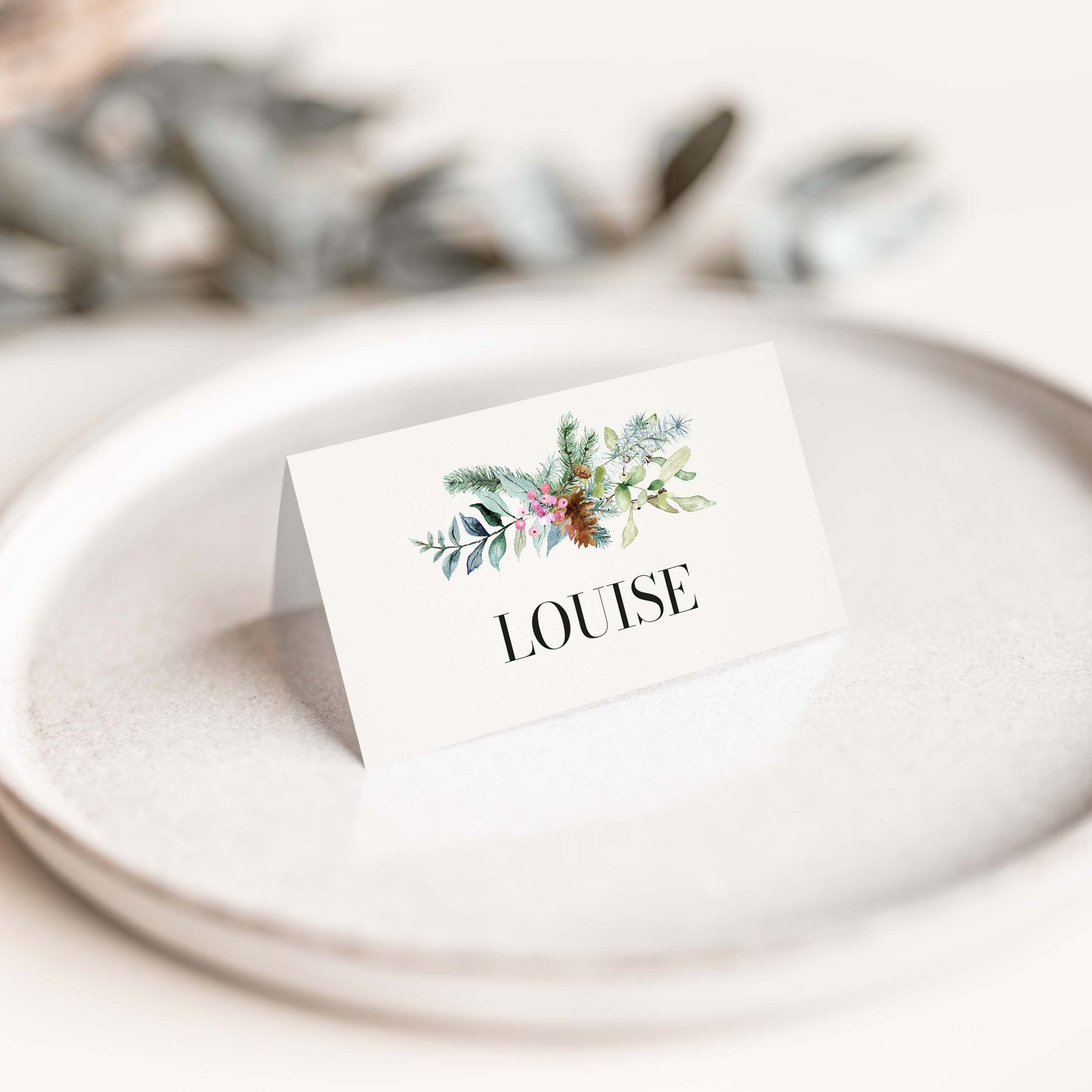 Winter Wedding Theme Place Cards