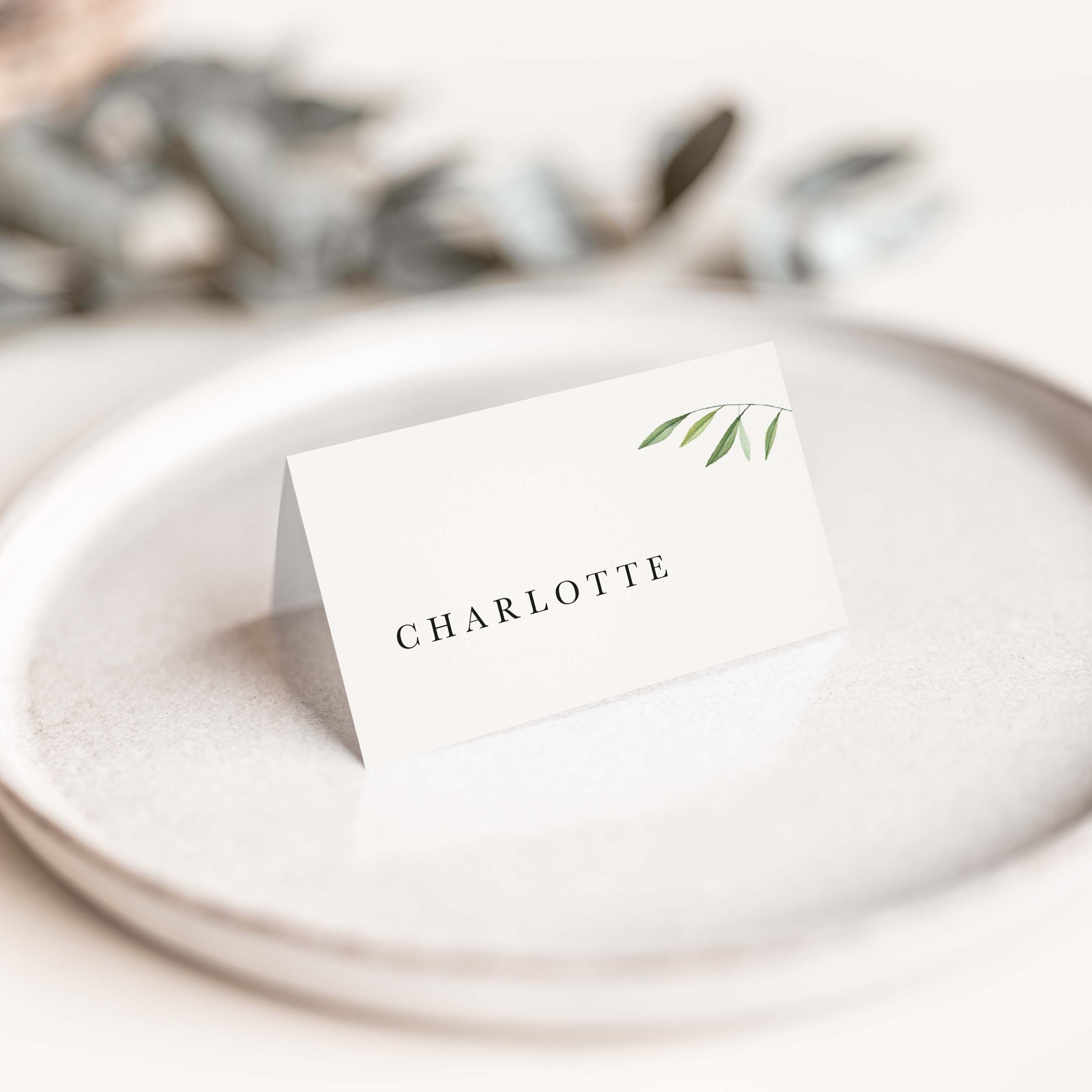 Olive Branch Wedding Place Cards