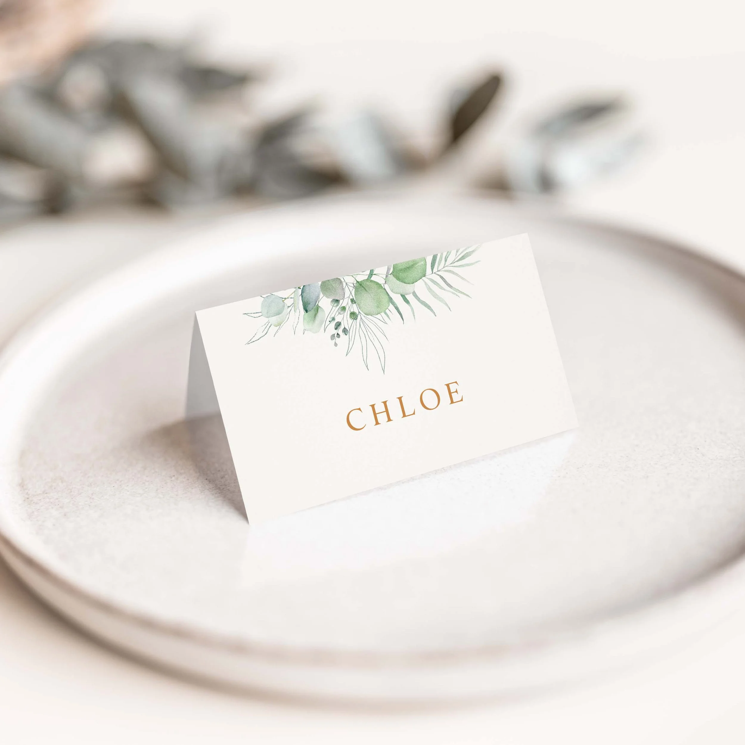The Eucalyptus Frame Wedding Place Cards