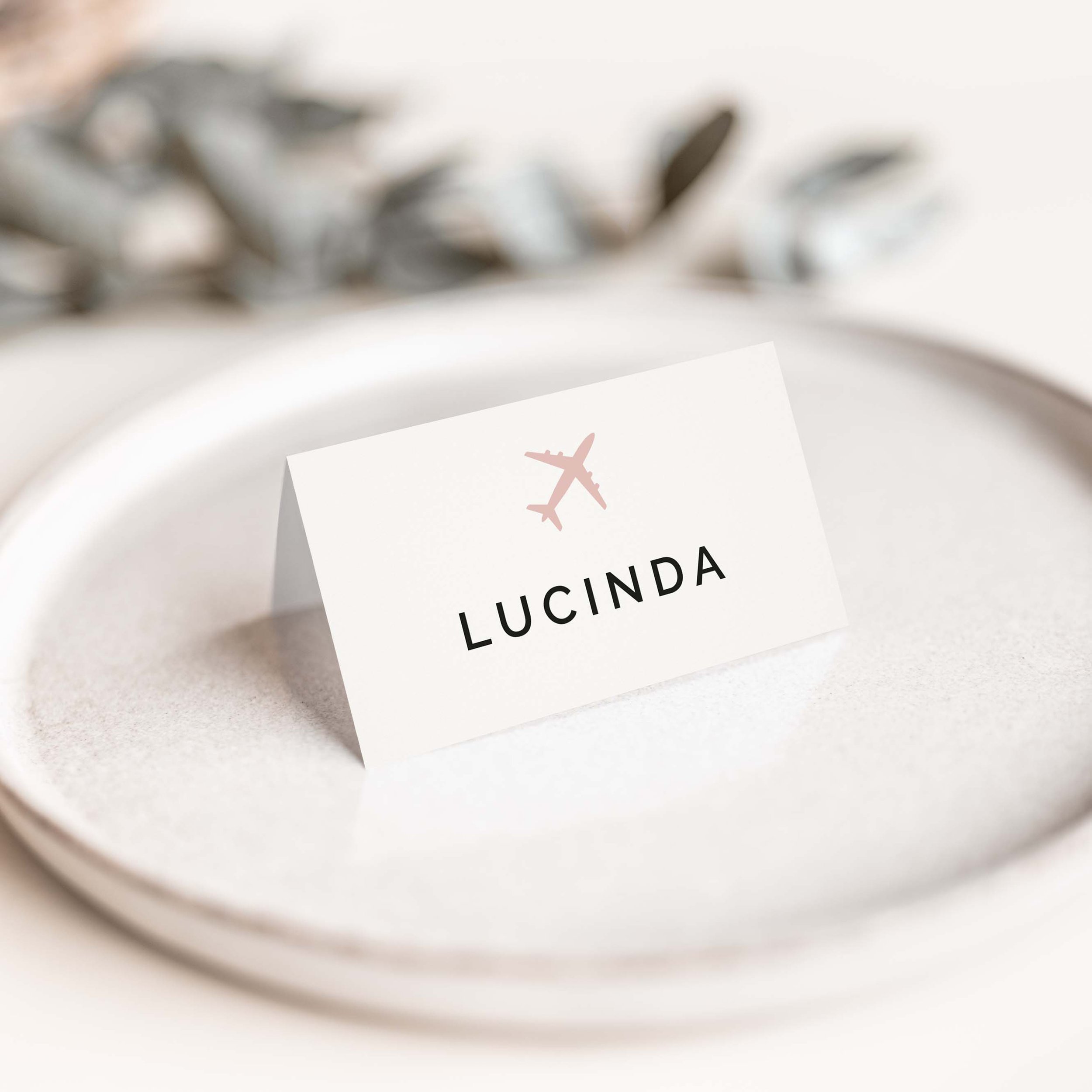 Travel wedding place card with small pink aeroplane icon above clean serif guest name typography on luxury off-white card