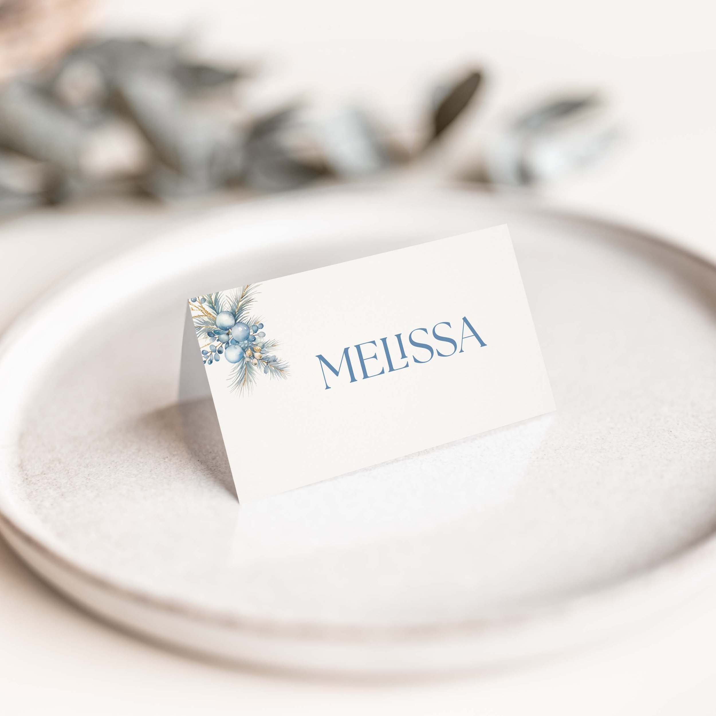 Blue Winter Wedding Place Cards