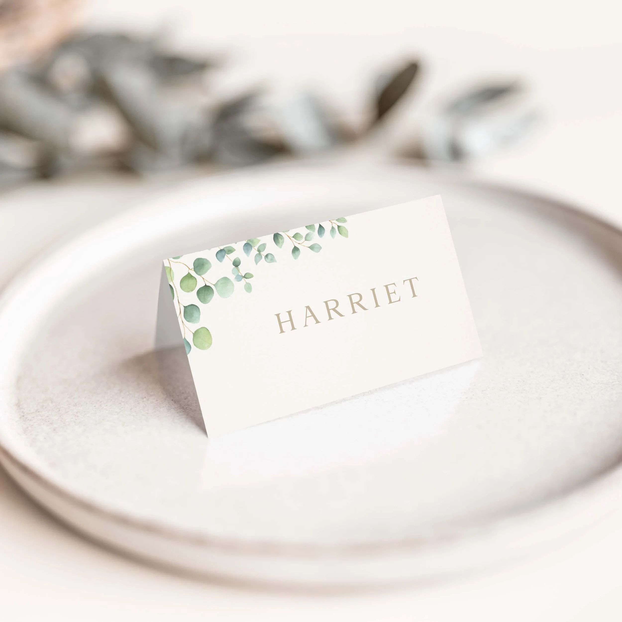 The Eucalyptus Foliage Wedding Place Cards