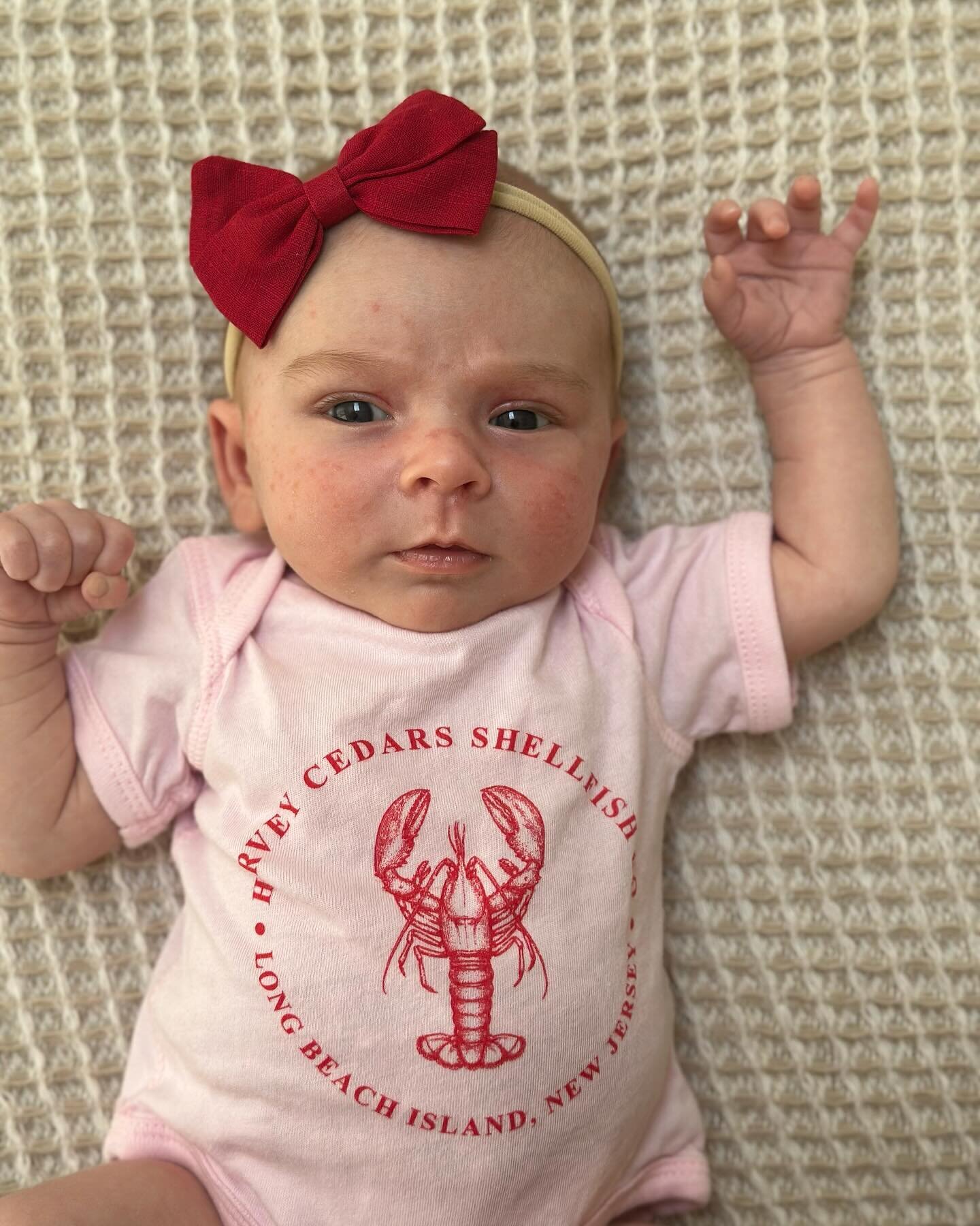 The littlest lobster joined our crew!! Lucy Eloise was born 12/8/23 &amp; she can&rsquo;t wait for summer on LBI! 🦞☀️