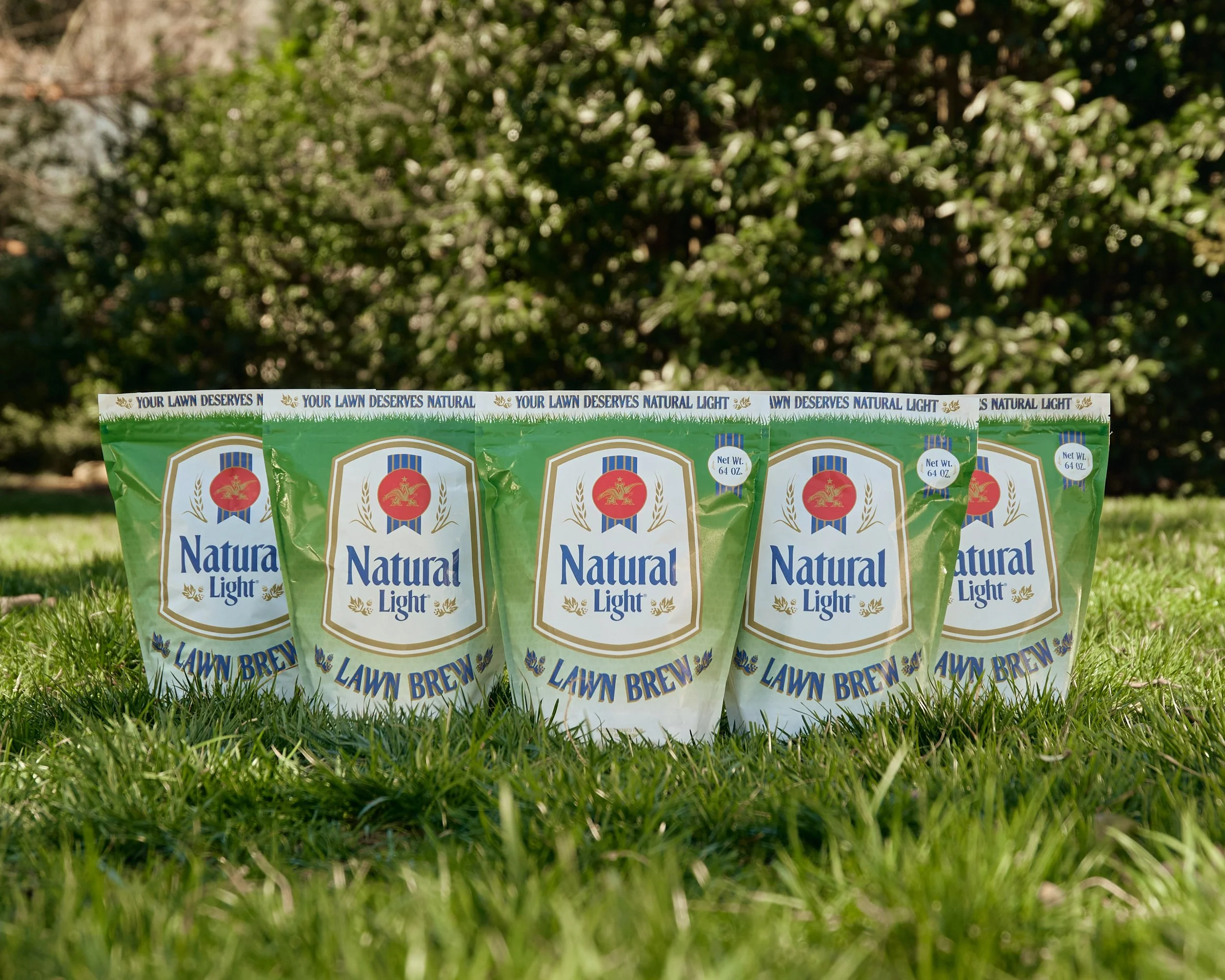 NattyLawnBrew Sixer 3.jpg