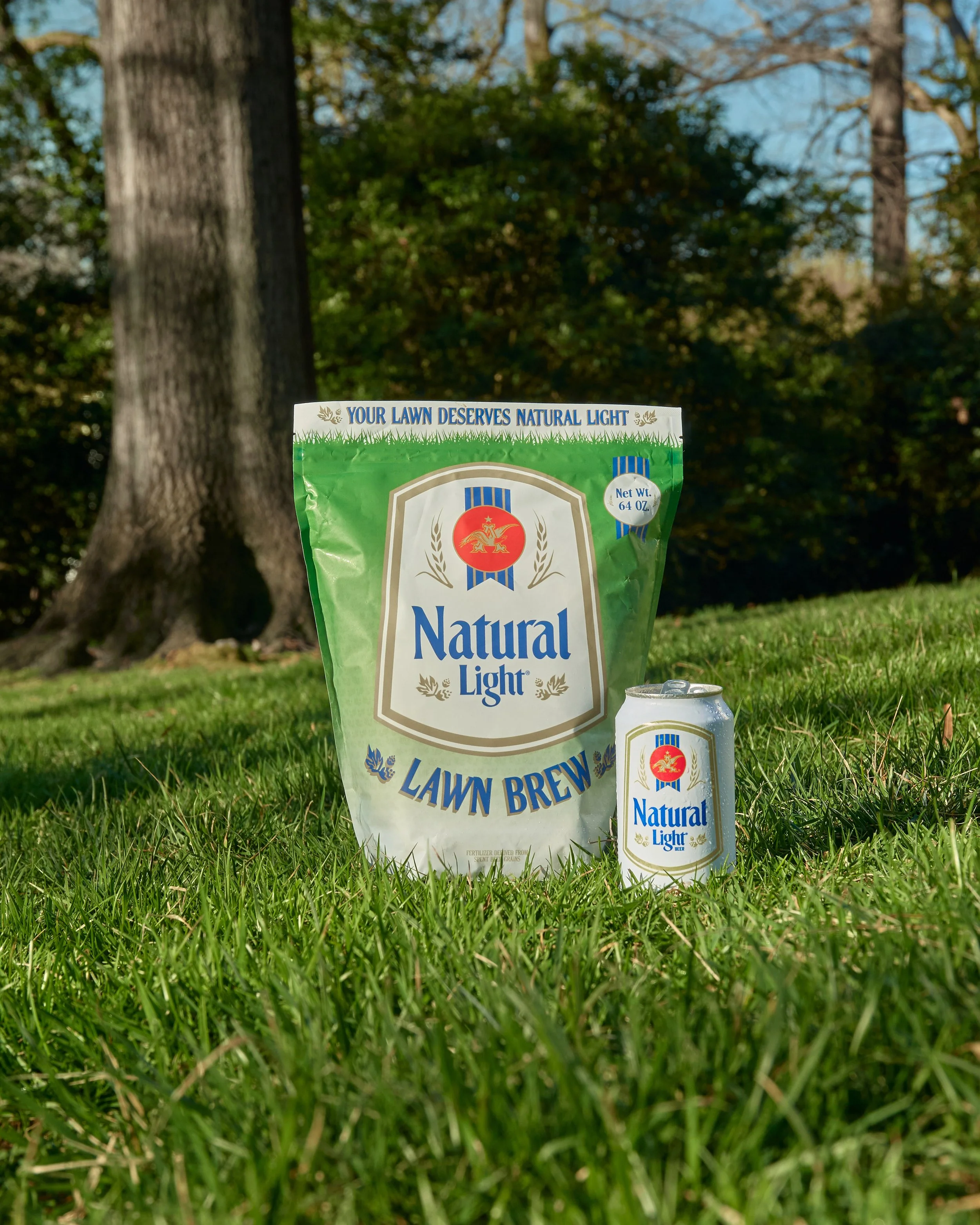 NattyLawnBrew Hero 1.jpg