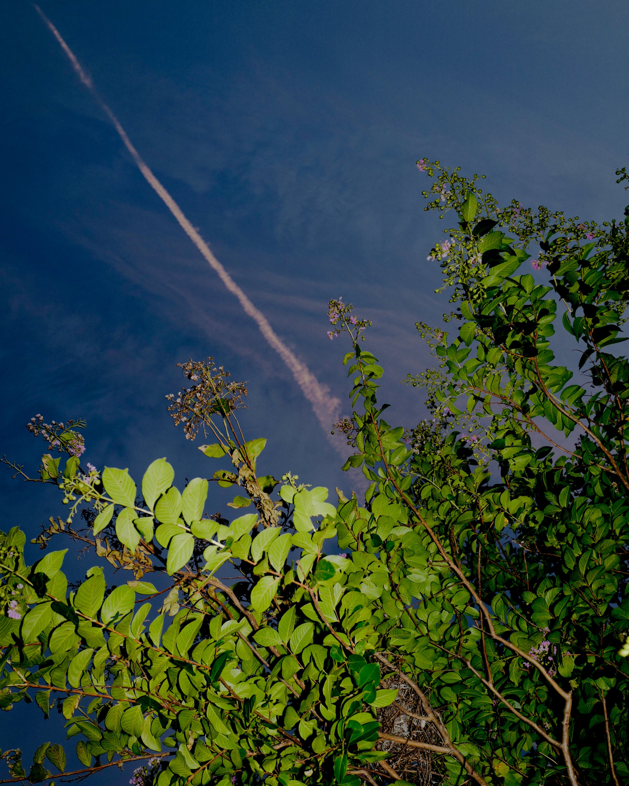 L1010856.jpg