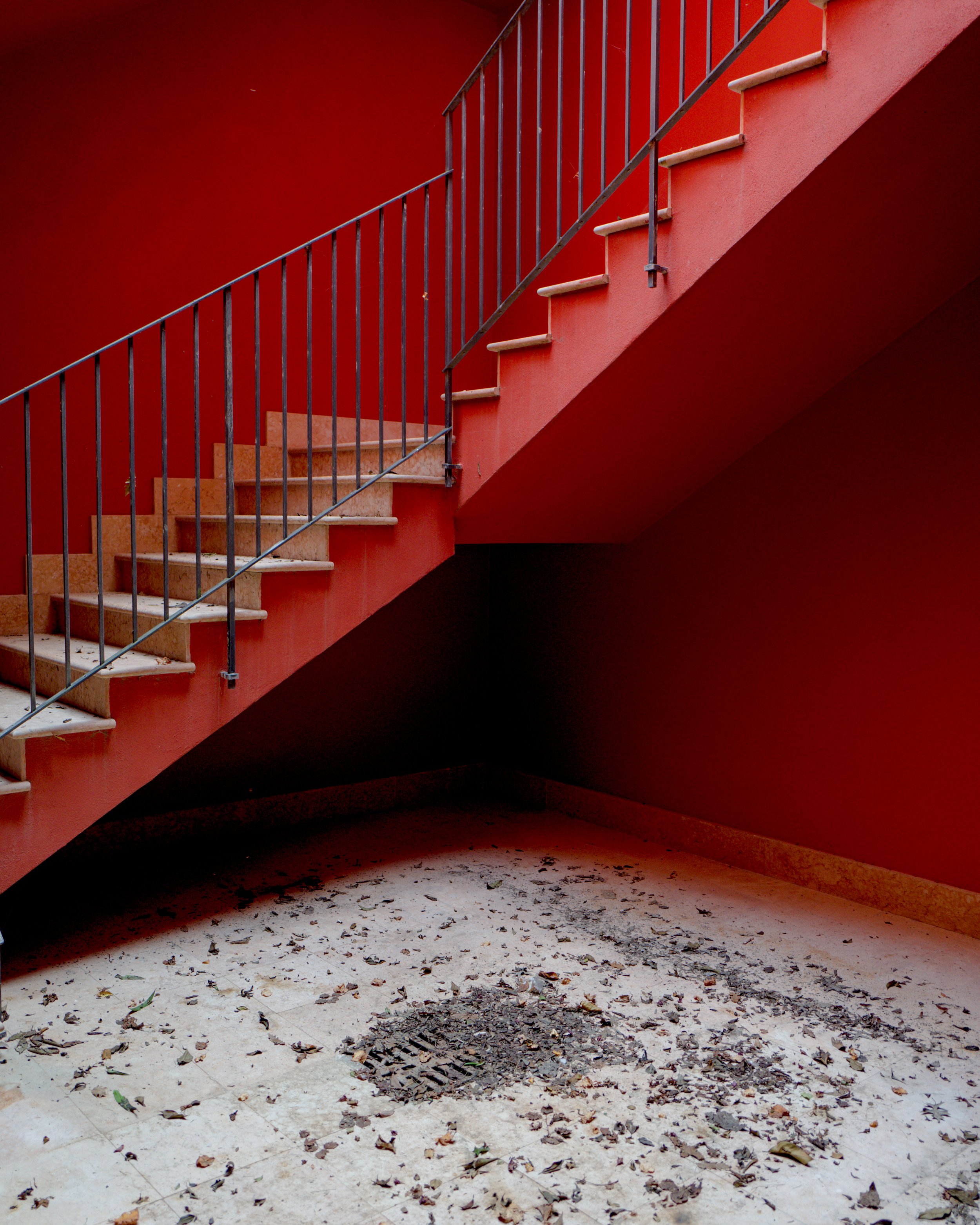 L1020661.jpg