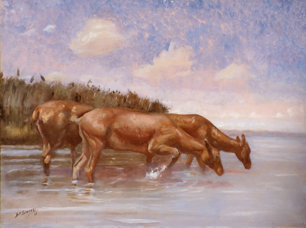 Deer Drinking - Panel - 18x24  $1000