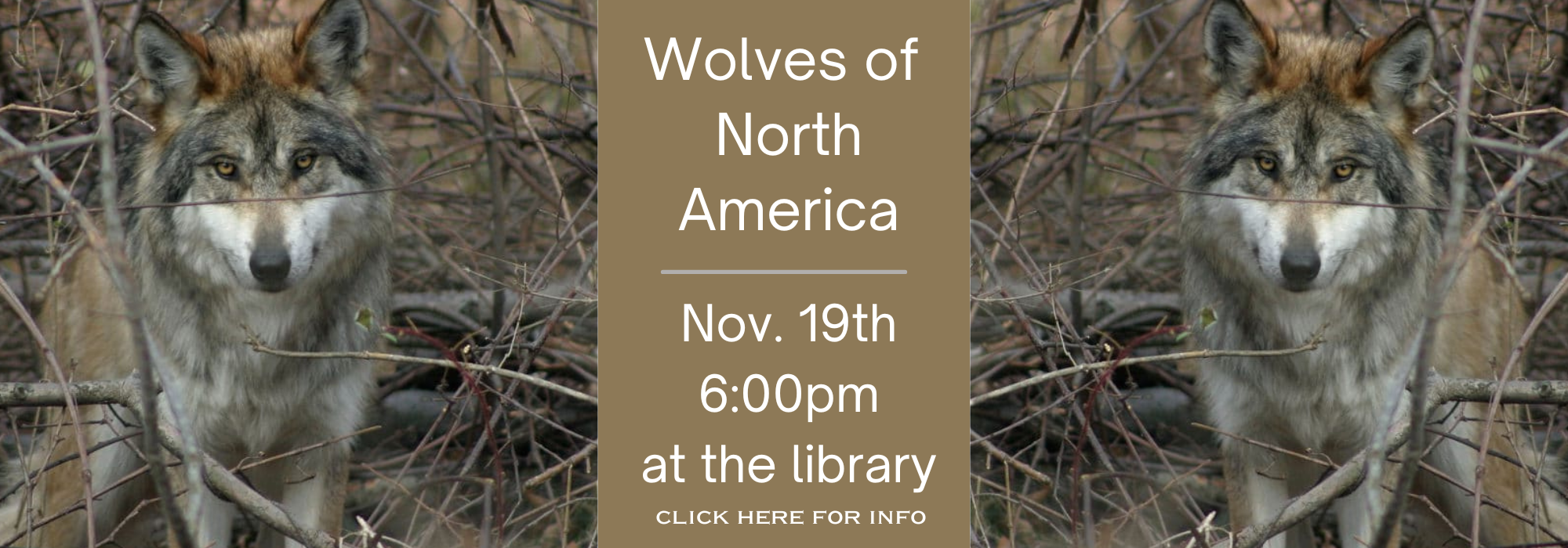 Wolves of N.America Banner.png