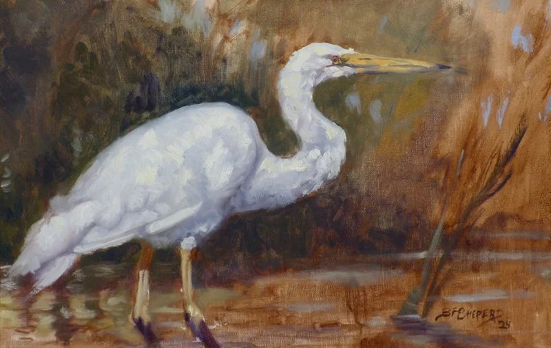 Snowy Egret, 2024 - Canvas - 9x12  $750