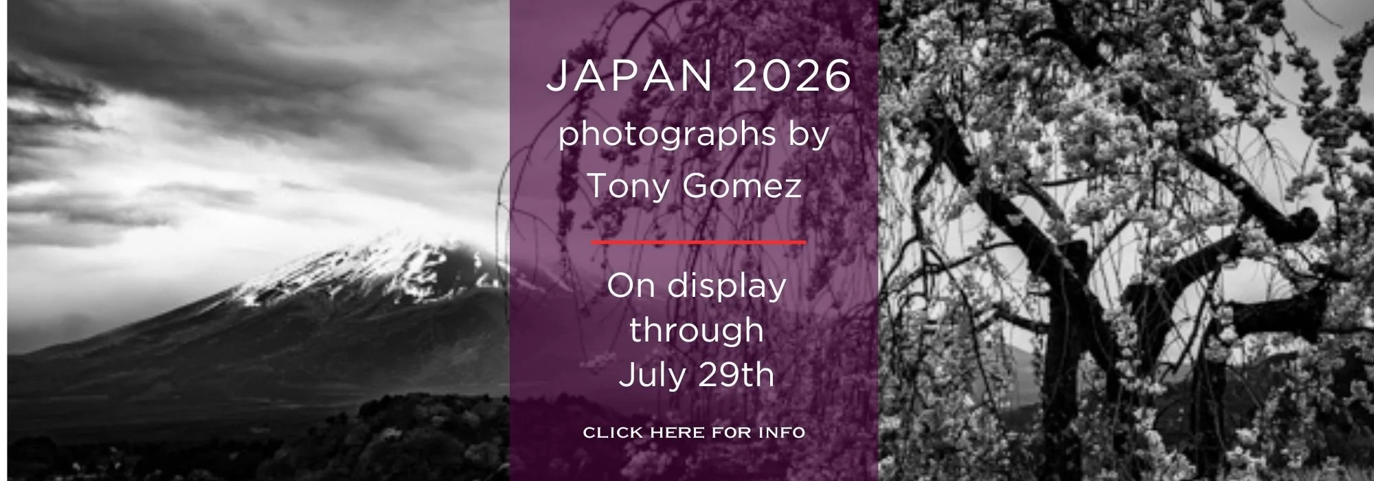 Japan 2026 art on display banner.jpg