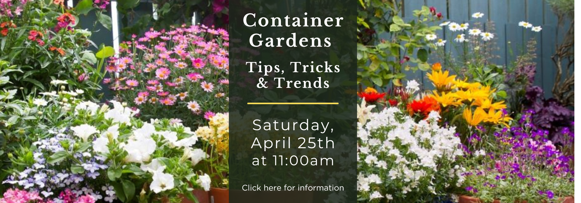 Container Gardens banner.png