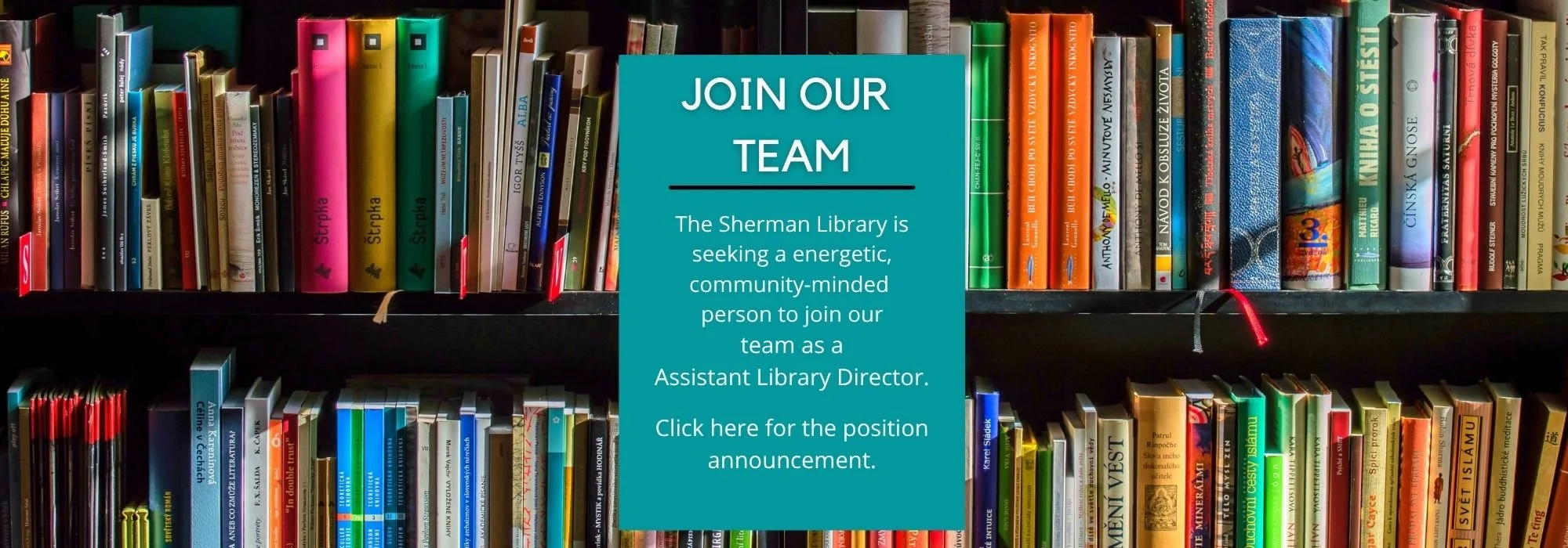 Join Our Team banner- Assistant Director.jpg