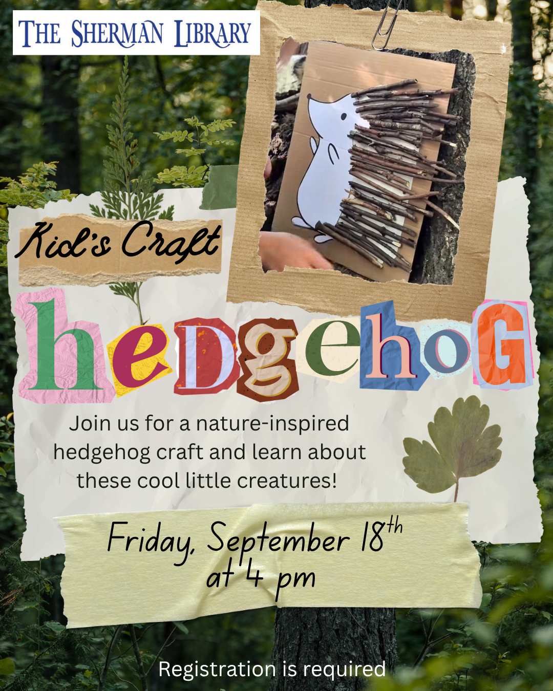 hedgehog craft.png