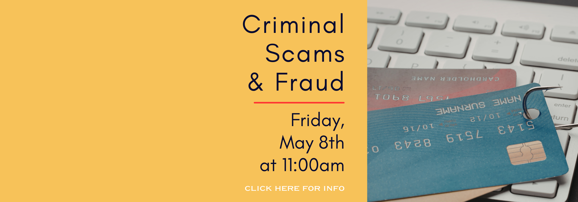 Scams and Fraud banner.png