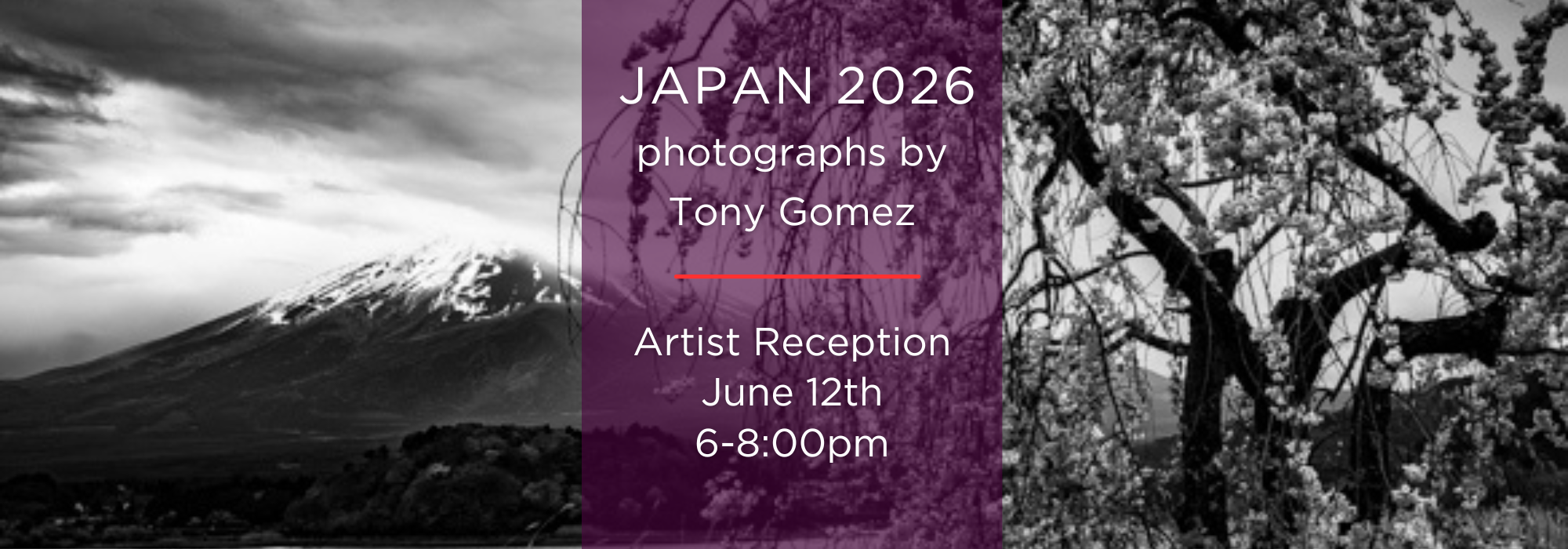 Japan 2026 art opening banner.png