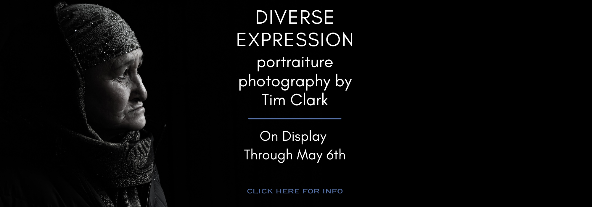Diverse Expression art show opening banner (1).png