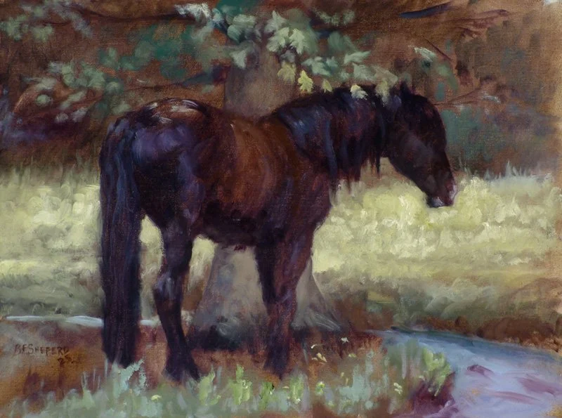In the Shade, 2025 - Canvas - 8x14  $750