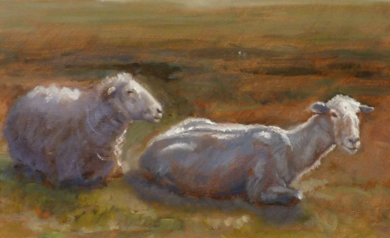 Two Sheep Sleep, 2024 - Canvas - 7.5x12  $550