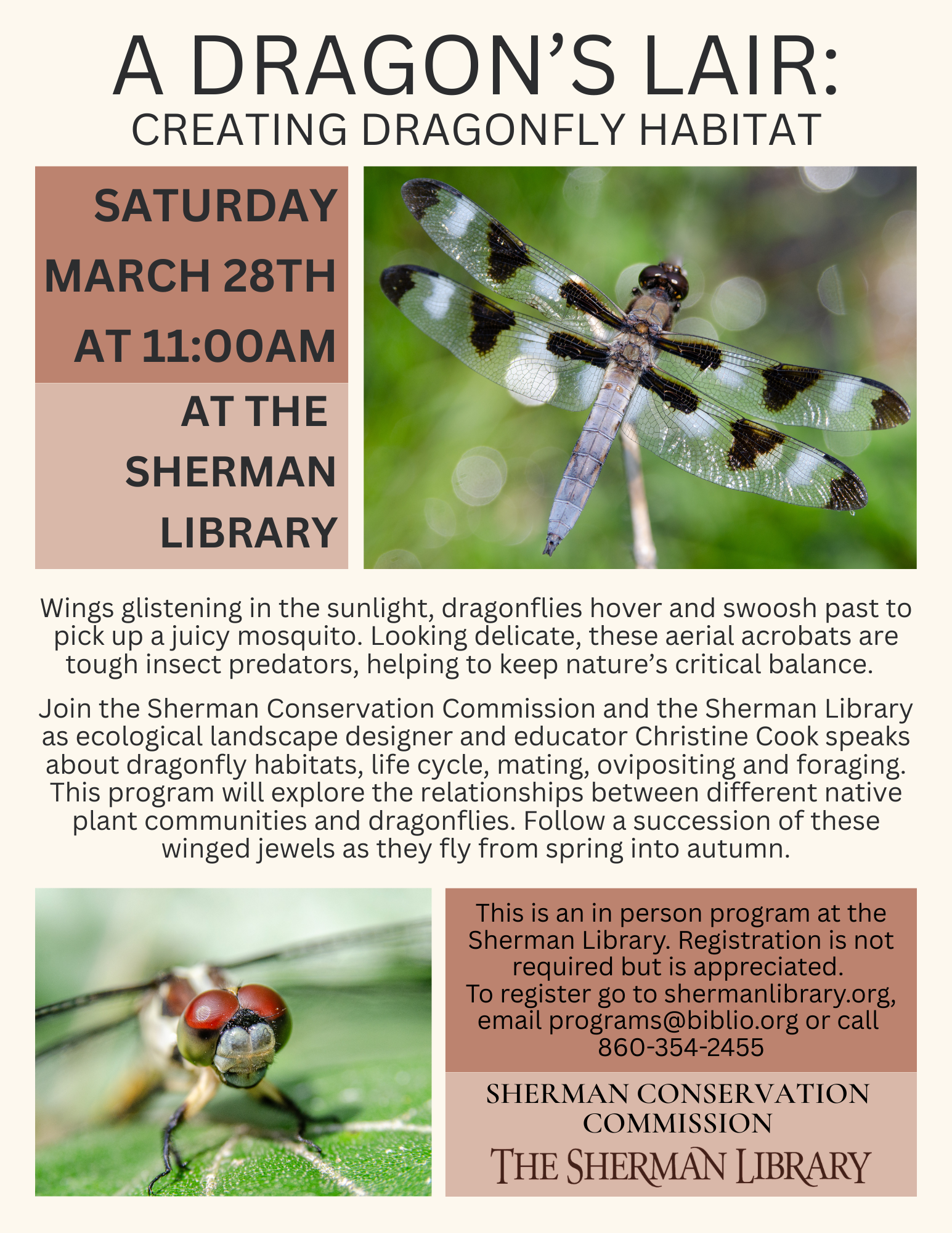 Dragonfly flyer (1).png