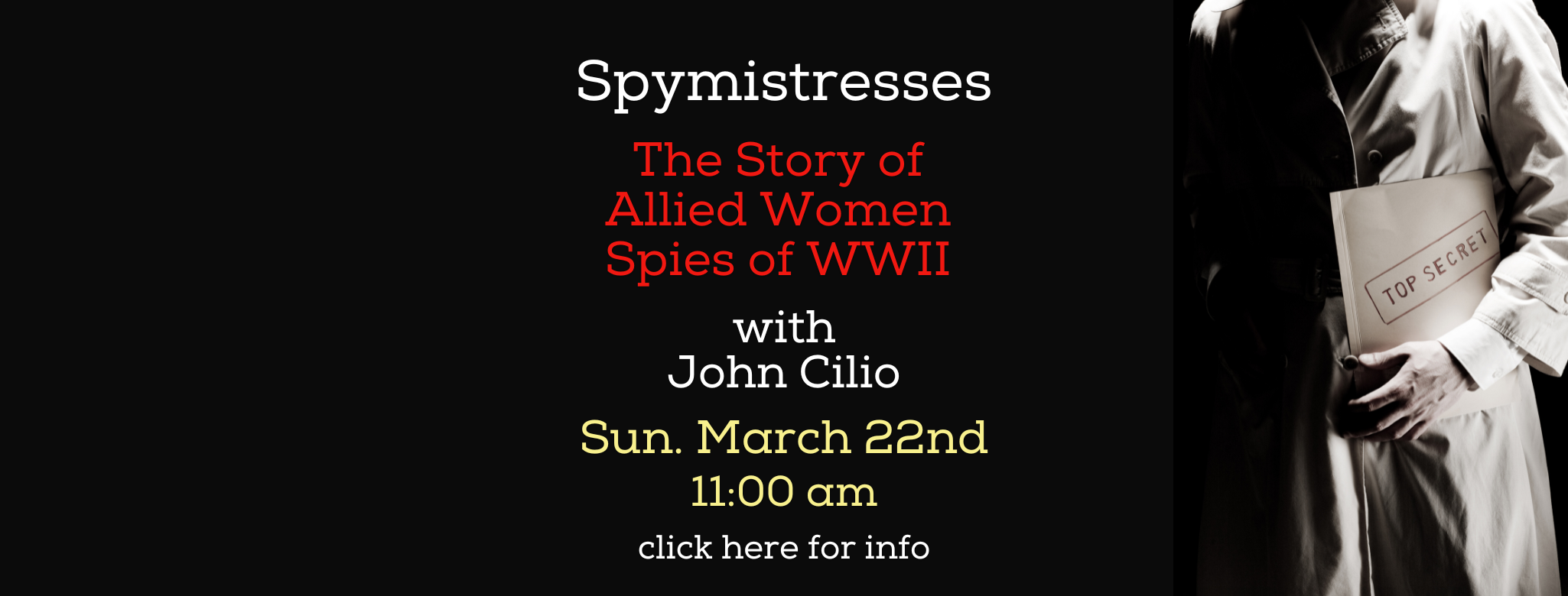 Copy of Spymistresses banner.png