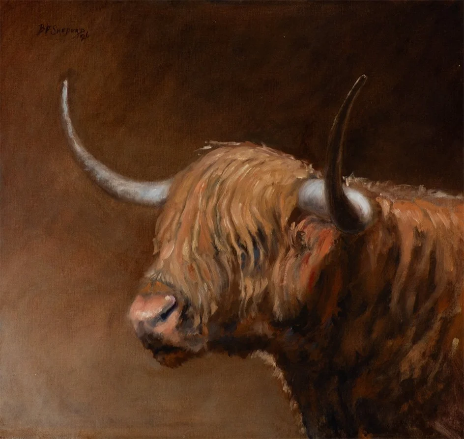 Highland Cow, 2026 - Linen - 18x19  $1350