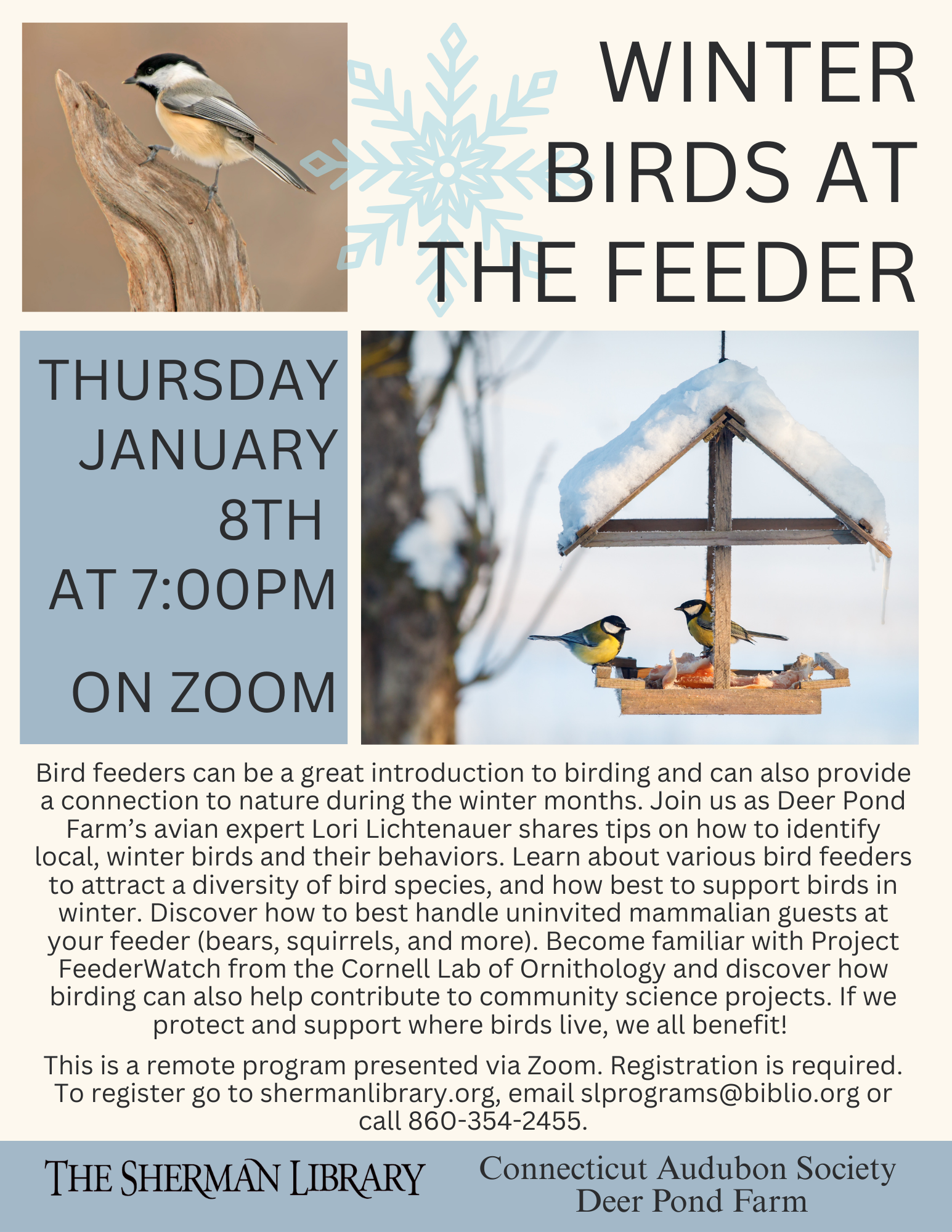 Winter Birds at the Feeder flyer (1).png