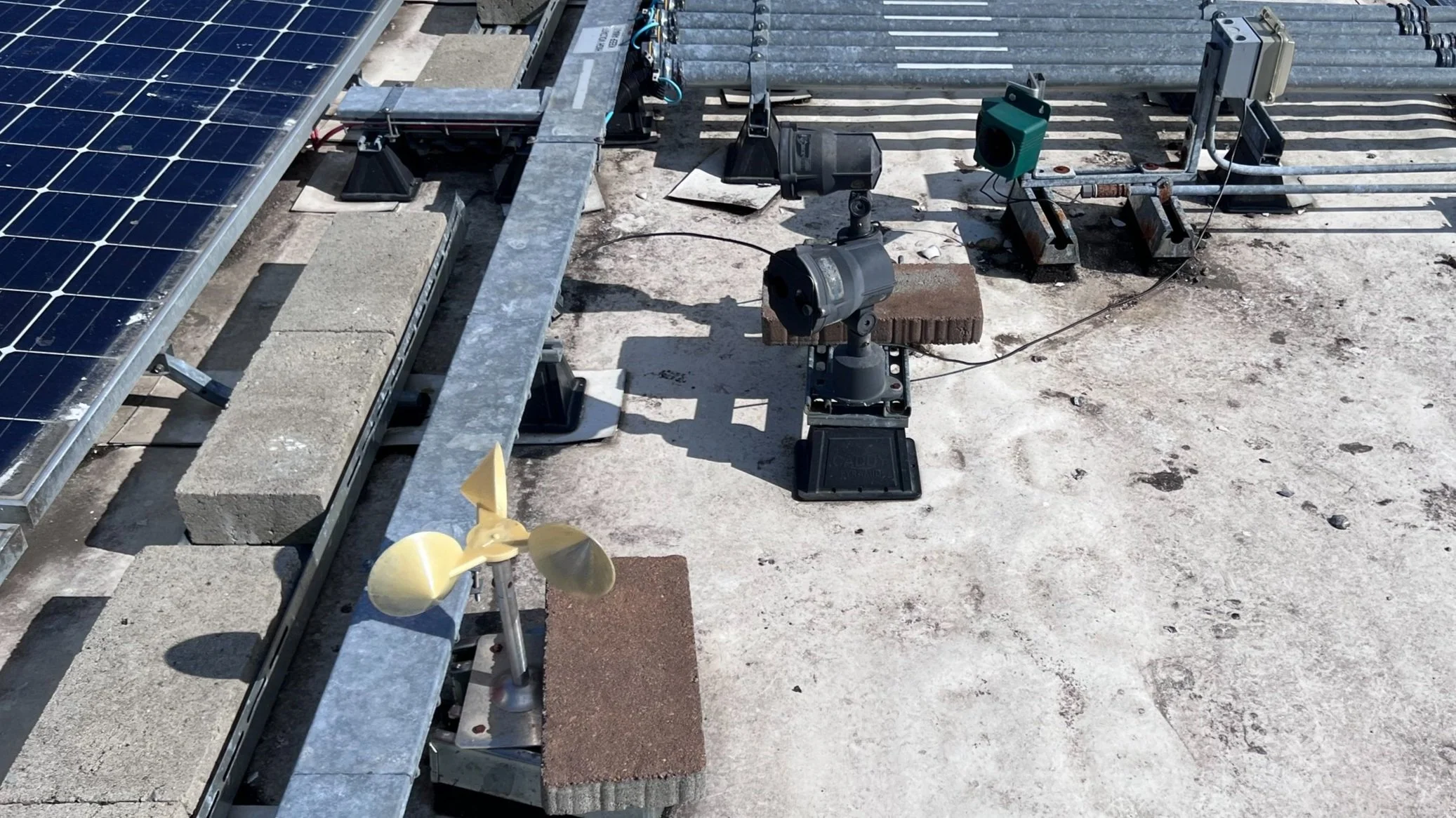 Failed Bird Deterrents installed on a rooftop did not prevent gull activity.