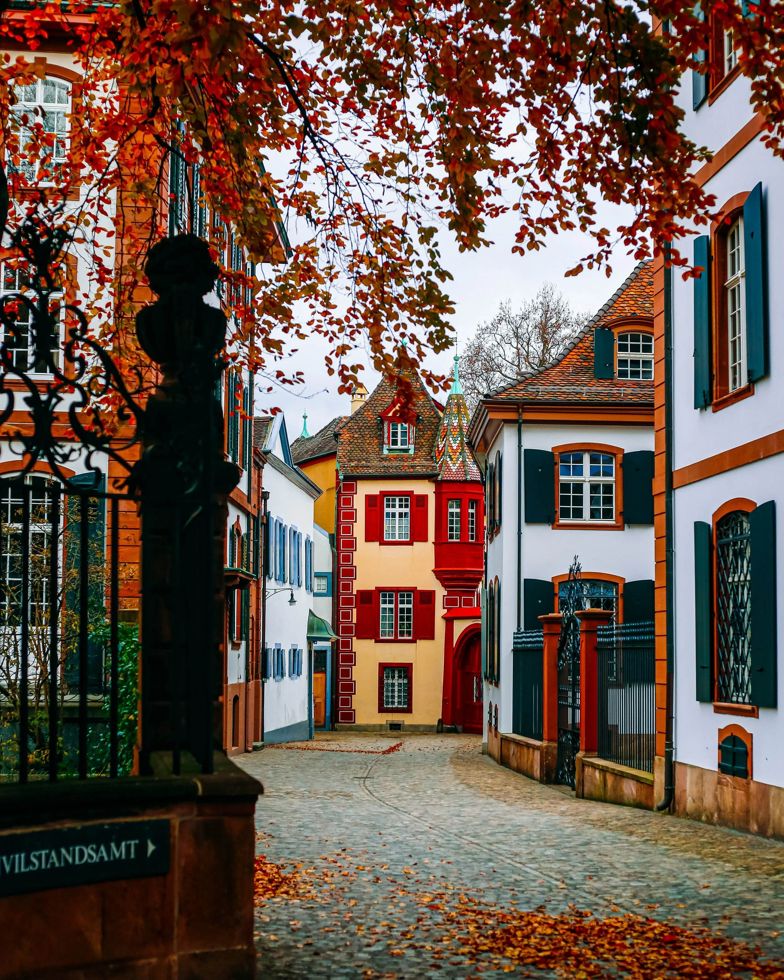 Things to do in Basel this Winter