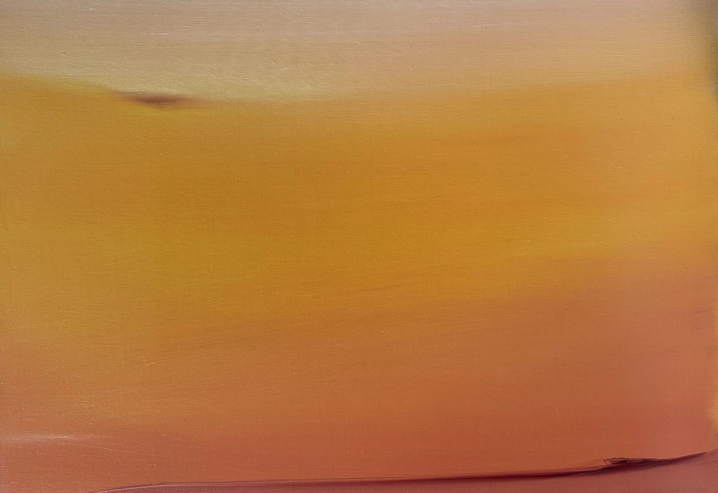 Artscoops VOLTA Art Fairs