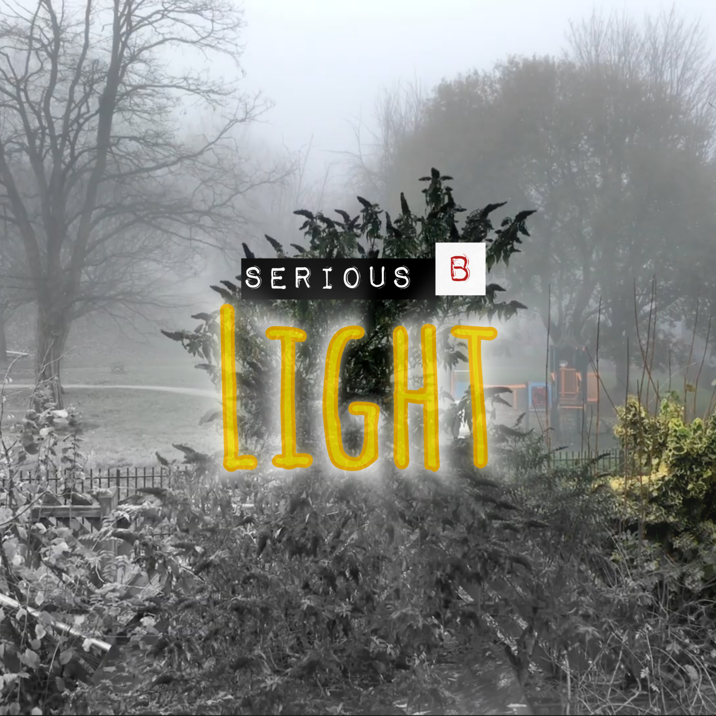 photo-output.png