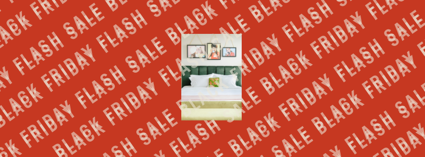 Black Friday Flash Sale