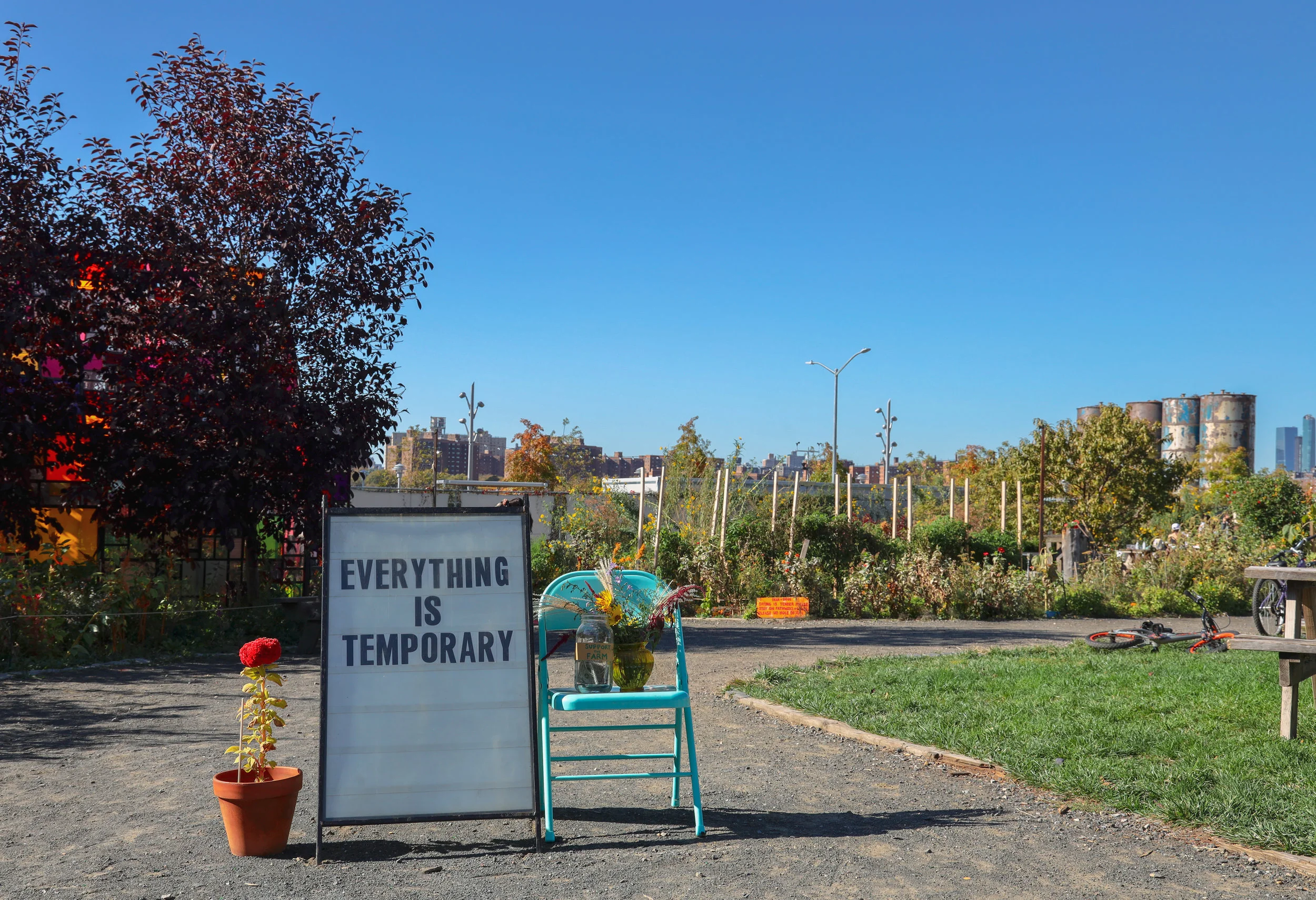 COVID-19 Sparks a Rebirth of the Local Farm Movement