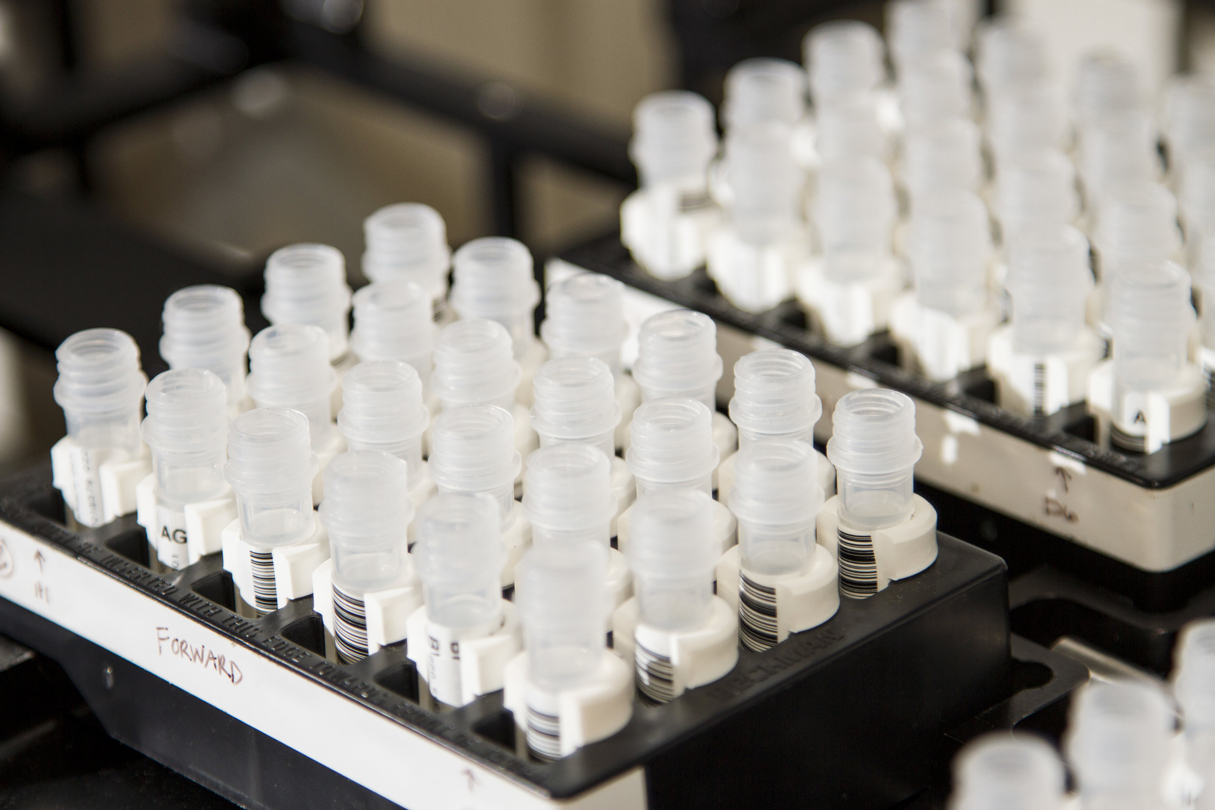 “Fast-Tracking” a Coronavirus Vaccine Sounds Great. It’s Not That Simple.