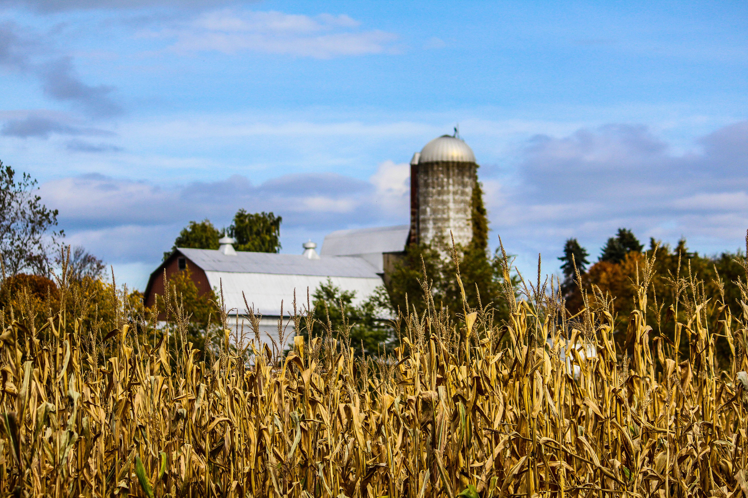 “Fall-off-a-cliff moment”: Covid-19 adds new dimension to farmers’ stress