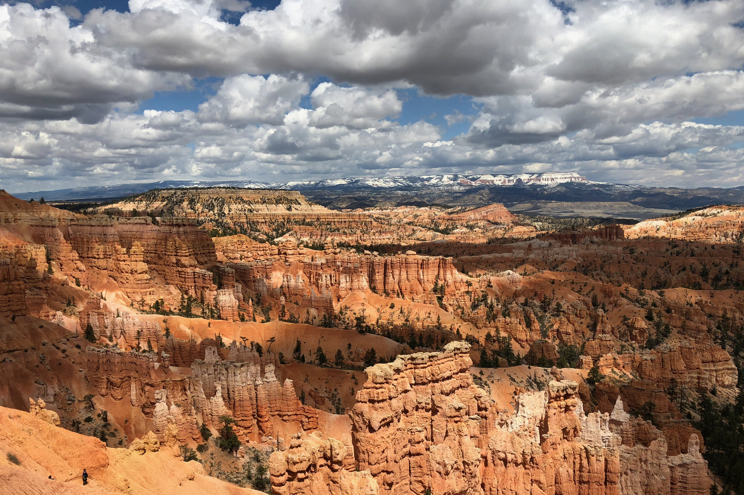 Is a big win for conservation a blow to climate action?