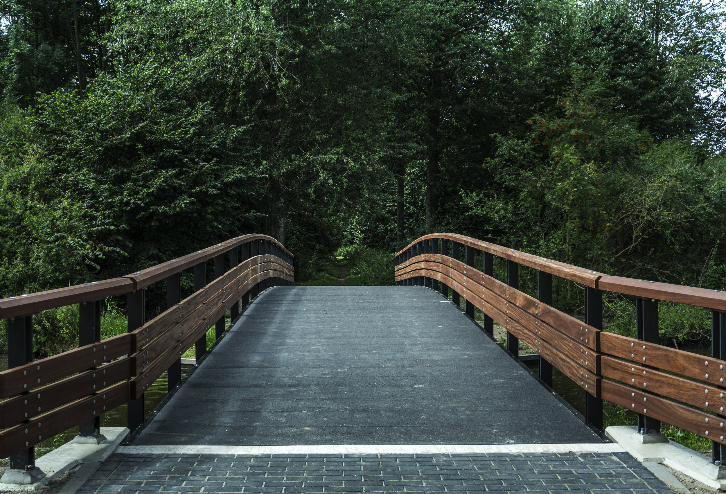 Green spaces improve cities. Can they benefit residents who need them most?