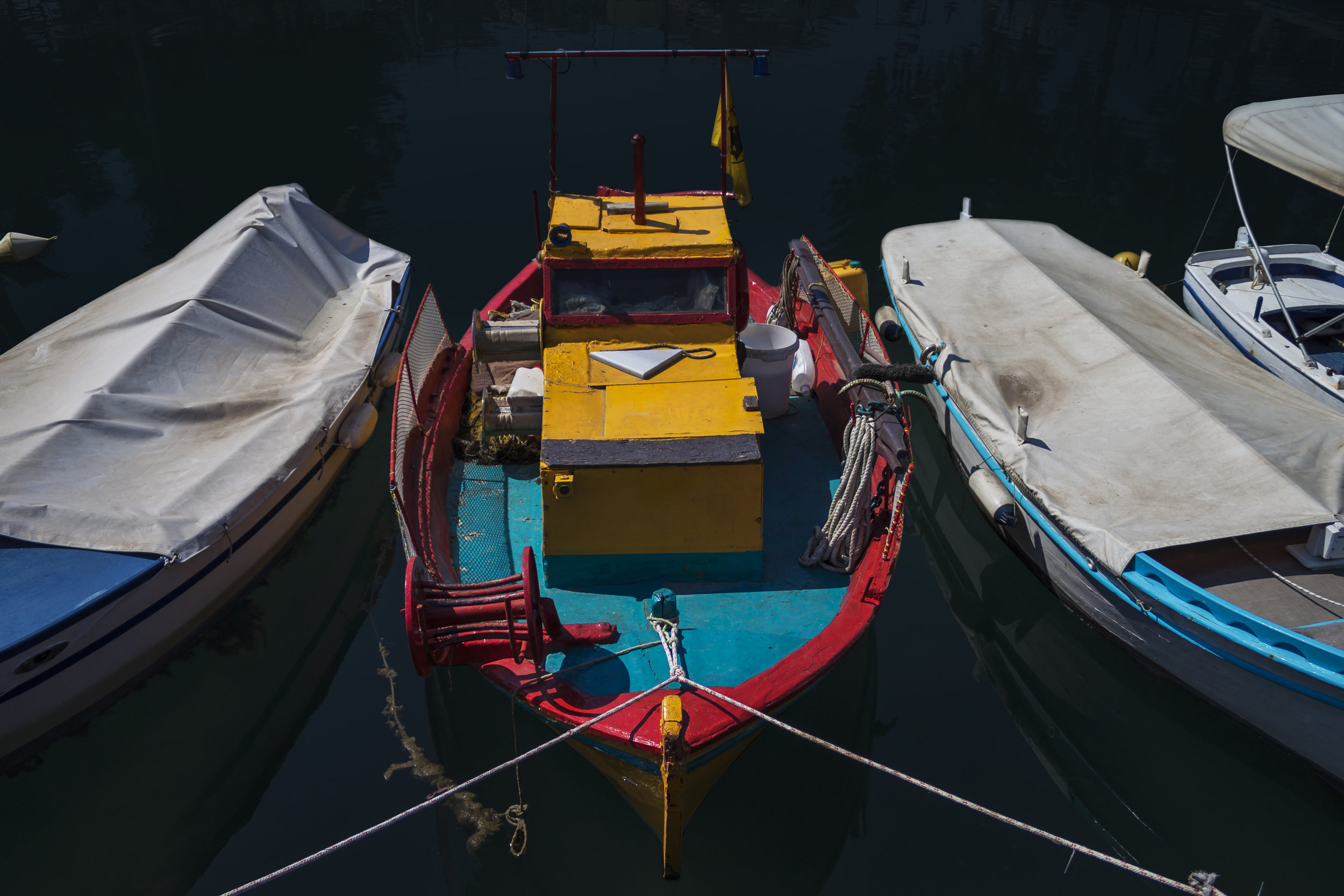 How to Save the Sea: Lessons from an Italian Fishing Community