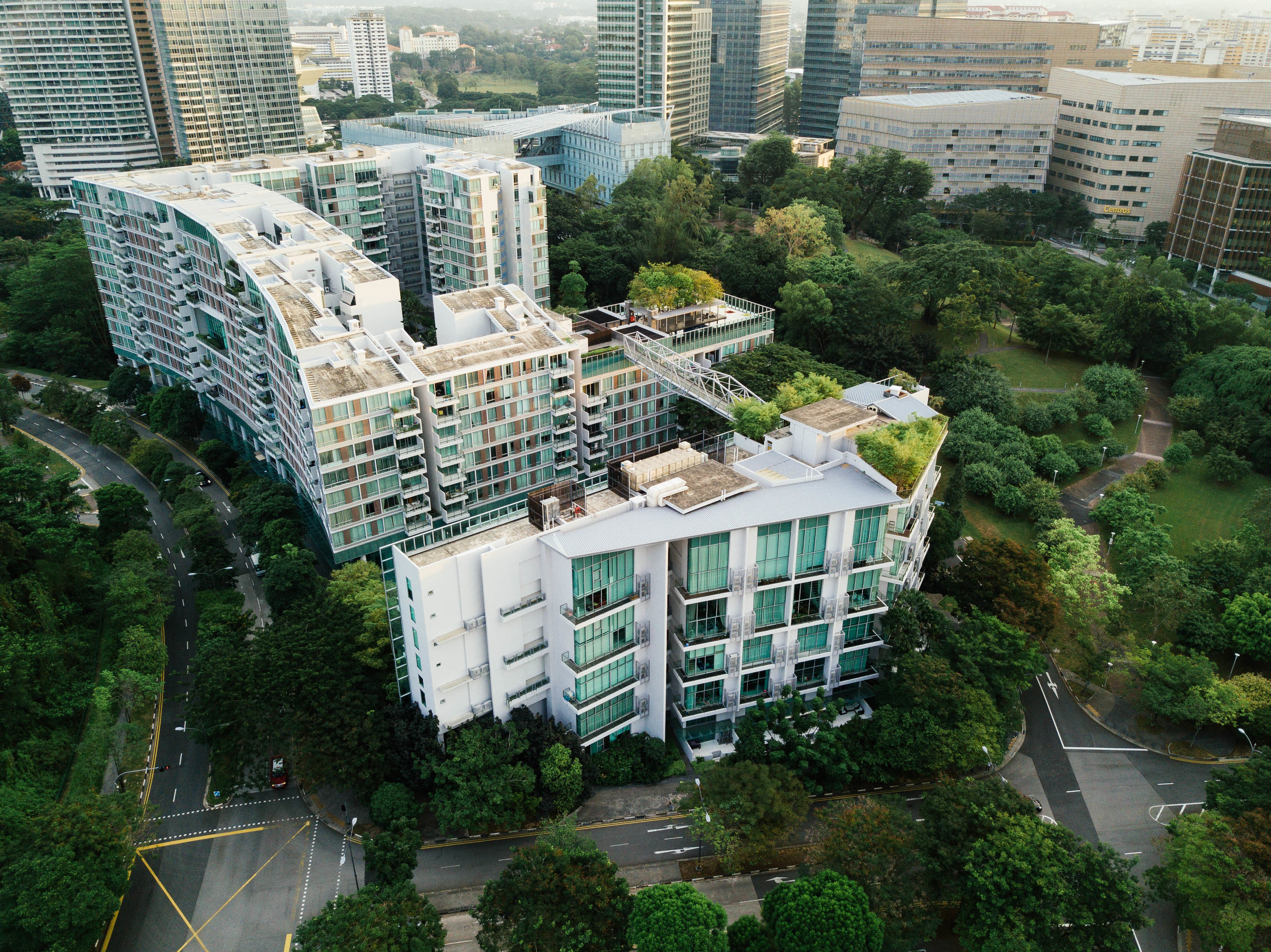 Can Planting Trees Make a City More Equitable?