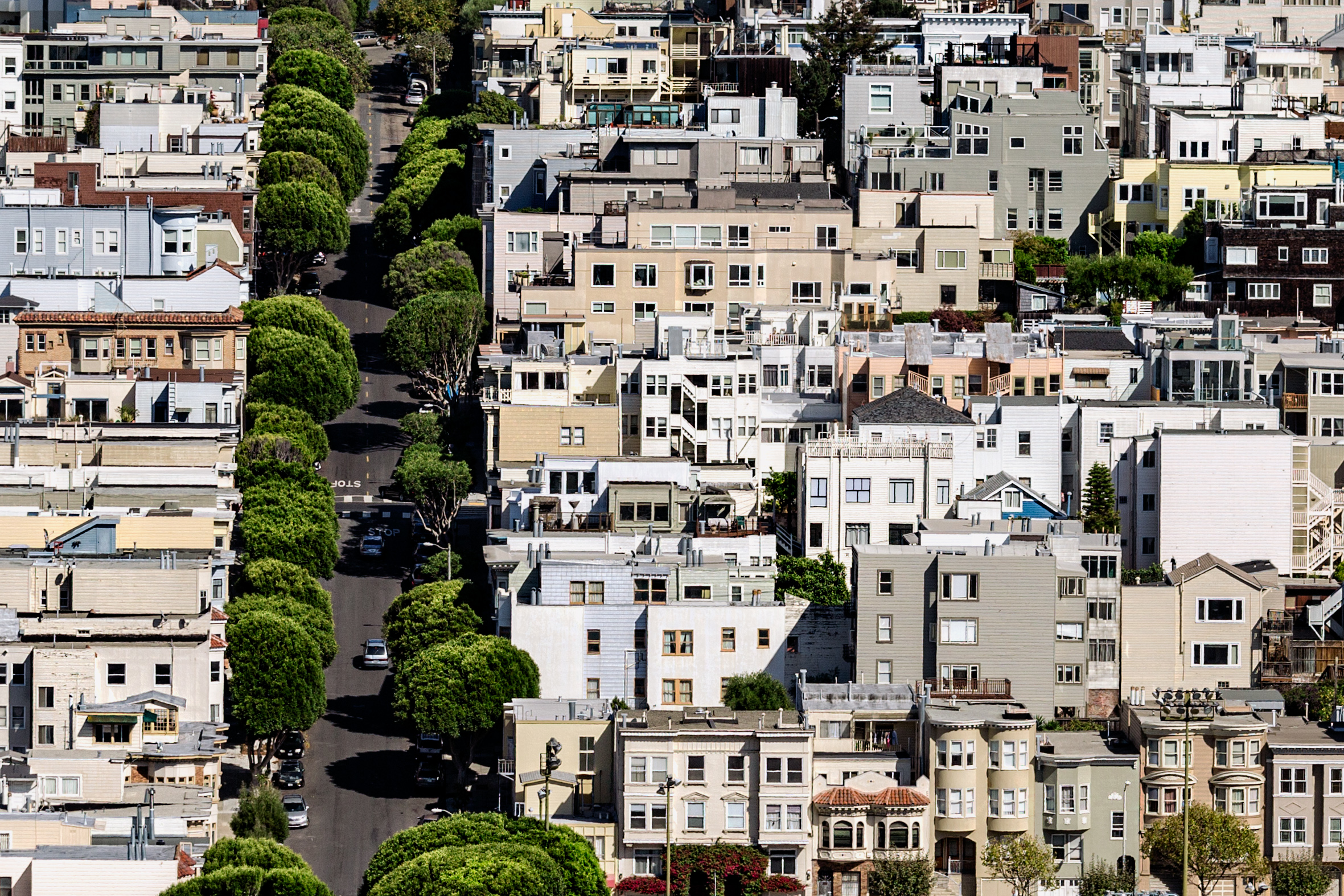 The first step to bridging the urban ‘canopy gap’? Counting and mapping trees.