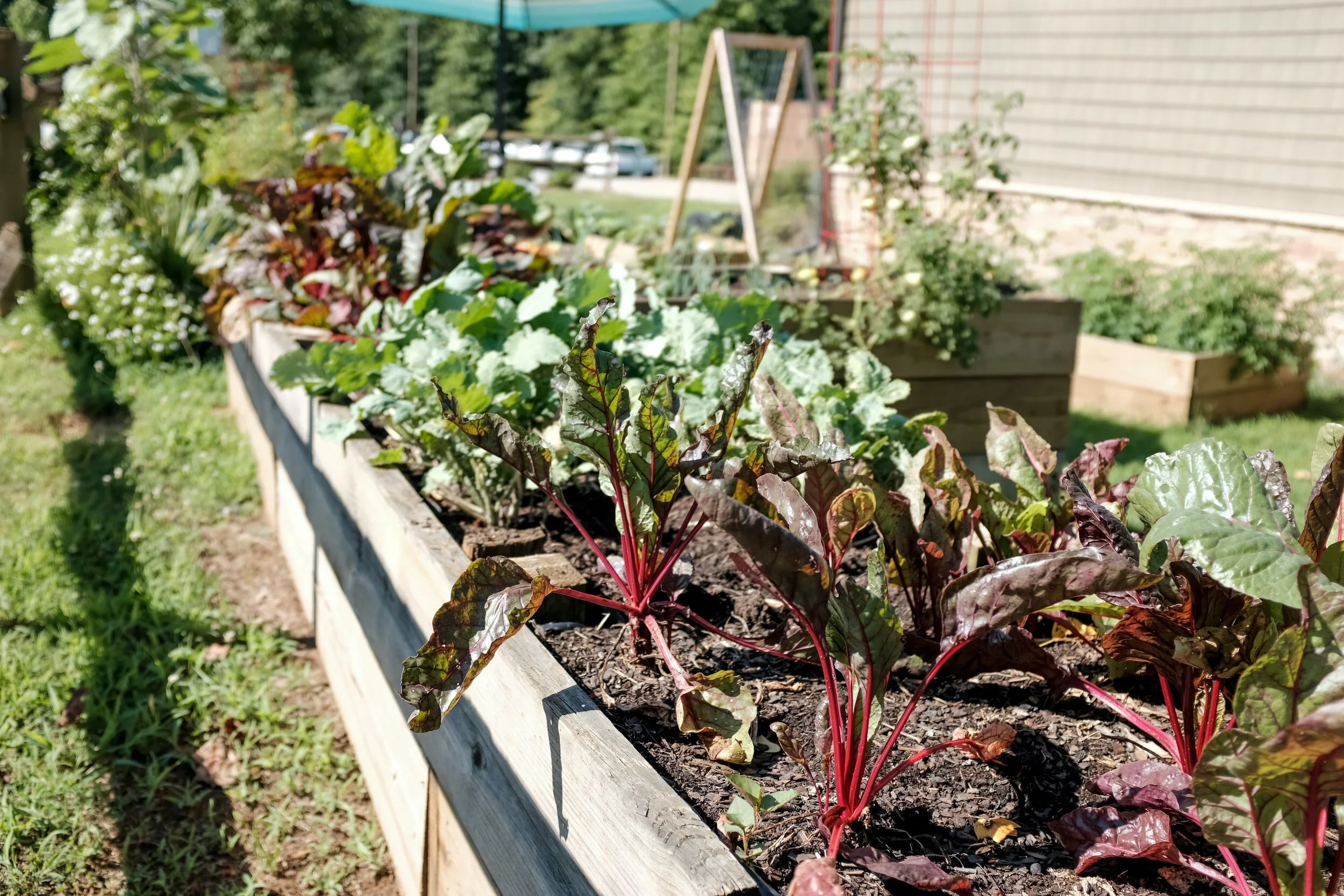 Life on the farm: How one Washington school district is restoring in-person learning