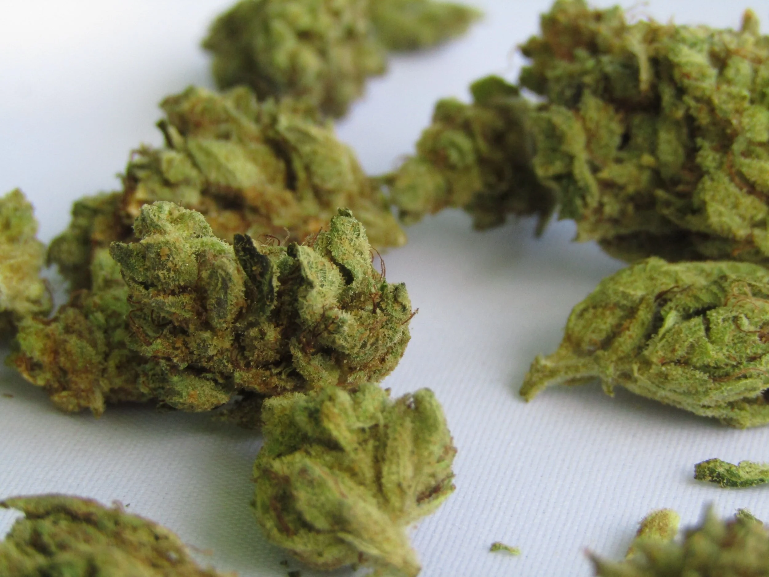 A New Program in One State Will Help People Expunge Marijuana Convictions