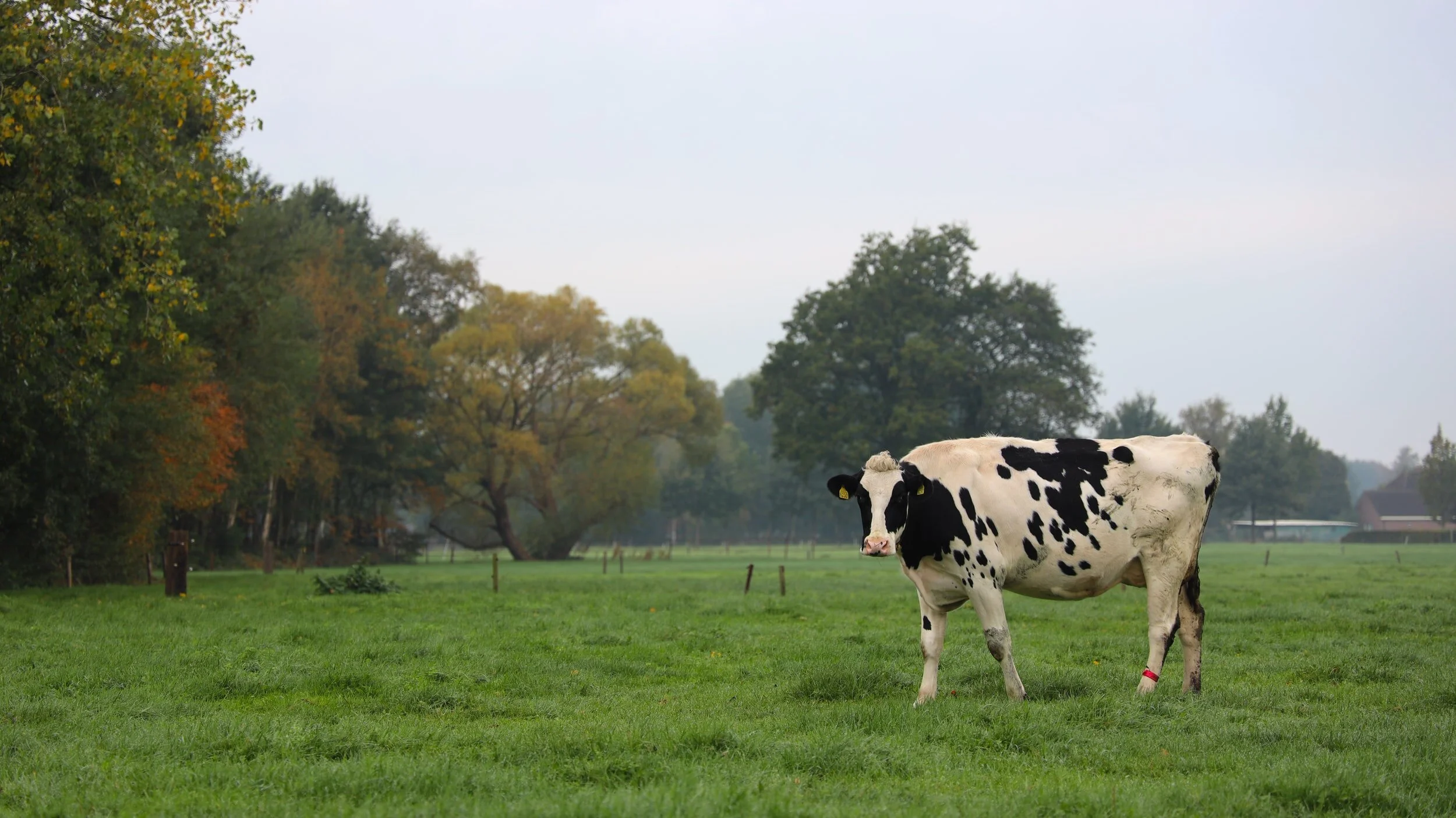 Farmers Can be Isolated and Unsure How to Seek Support. One State is Trying to Help.