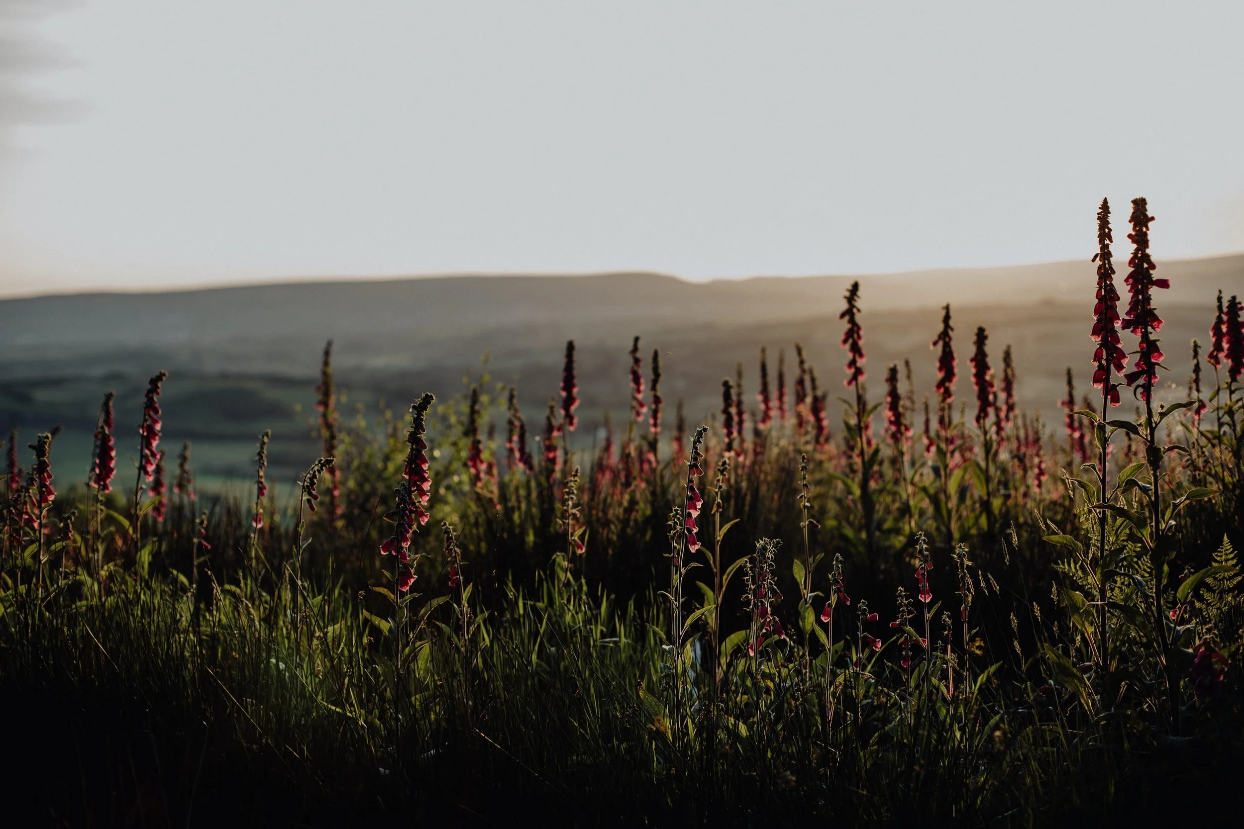 Wales’s “One Planet” Policy Is Transforming Rural Life
