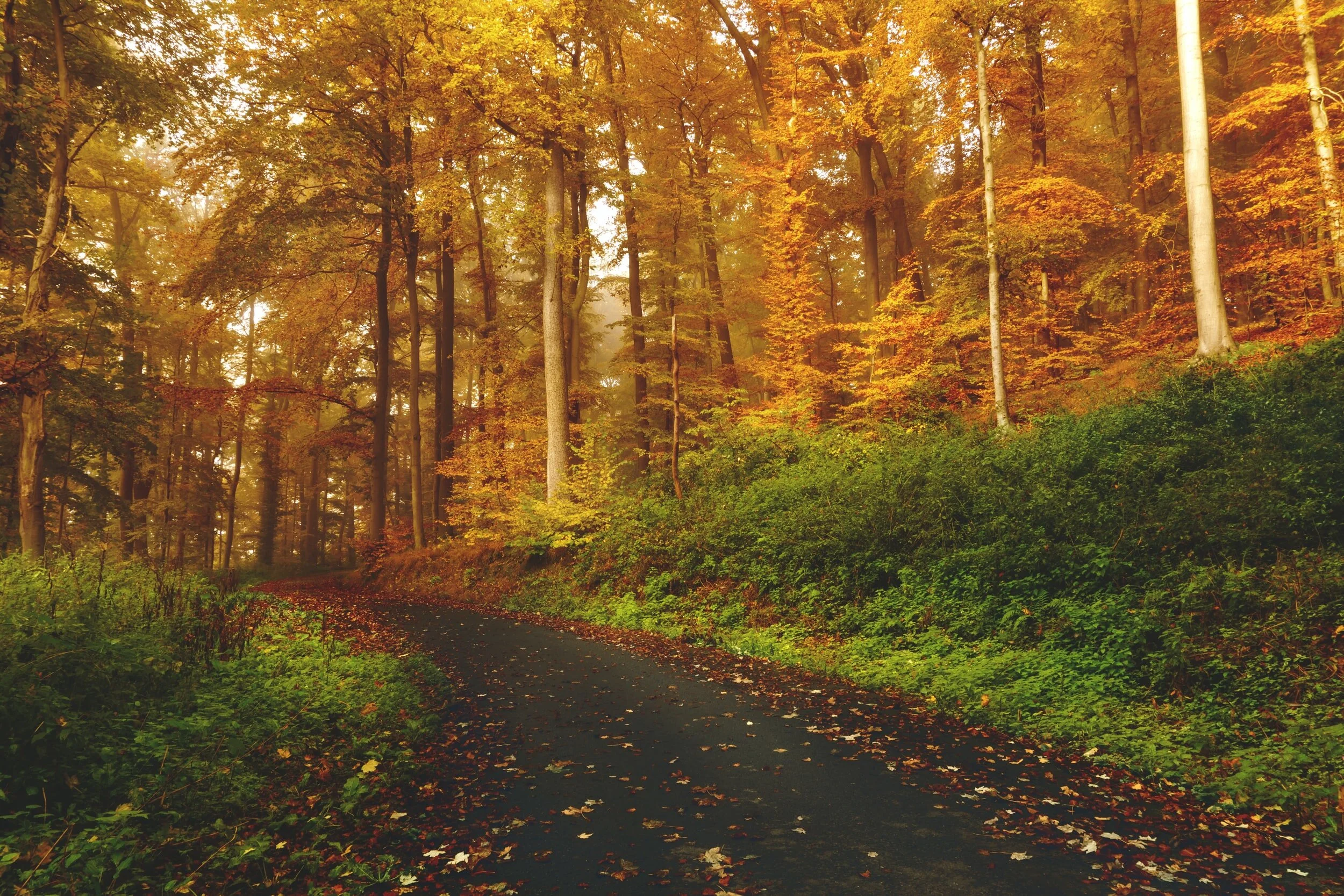 Medical Providers Are Taking Nature Therapy Seriously