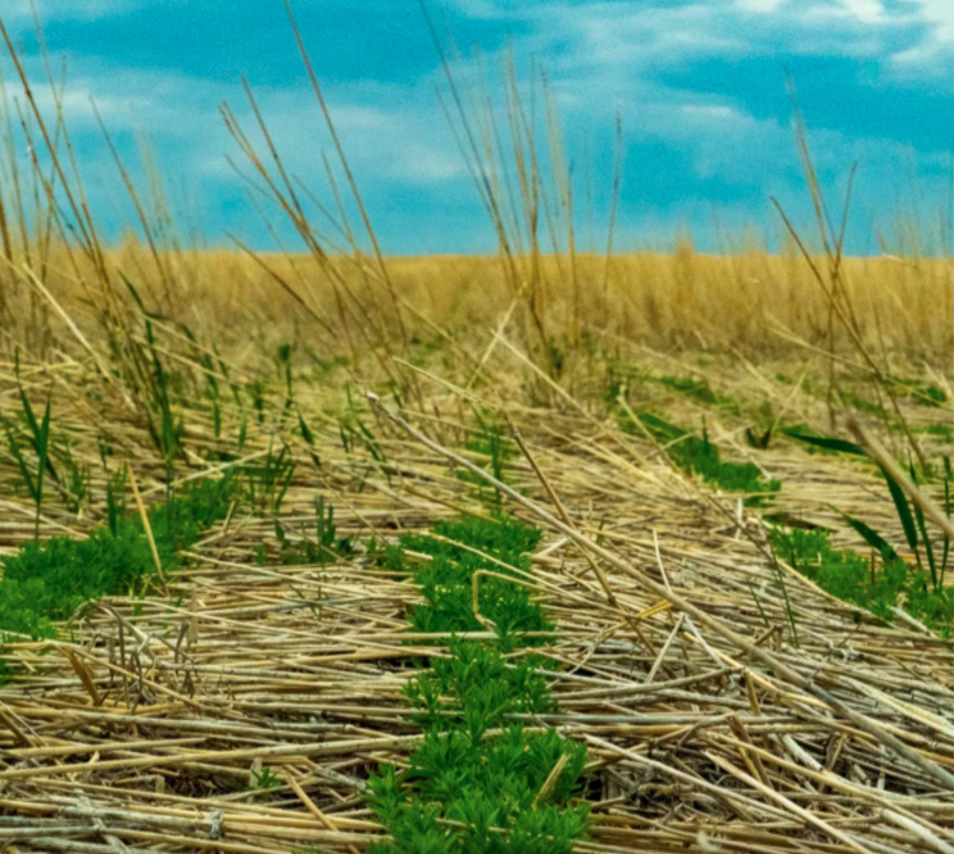 ‘Soil is our livelihood and we better protect it, or we’re screwed.’