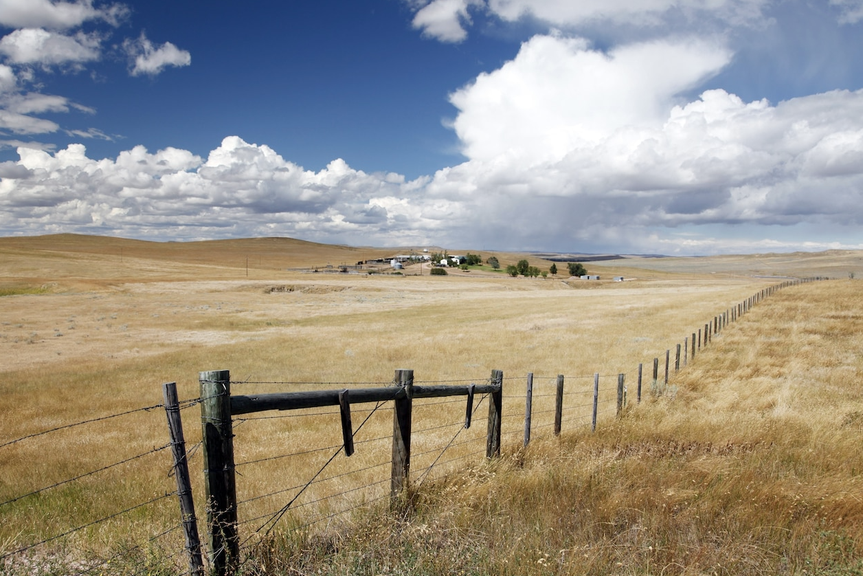 In Wyoming, fences are coming down to make way for wildlife