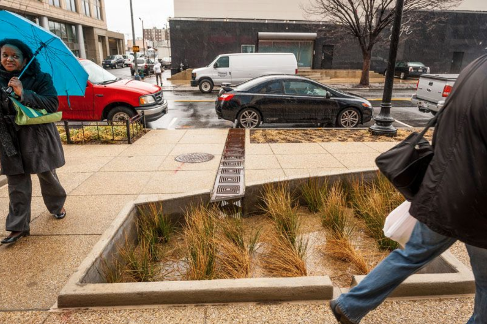 ‘Green Infrastructure’ for Clean Water Shows Its Worth in Washington, D.C.