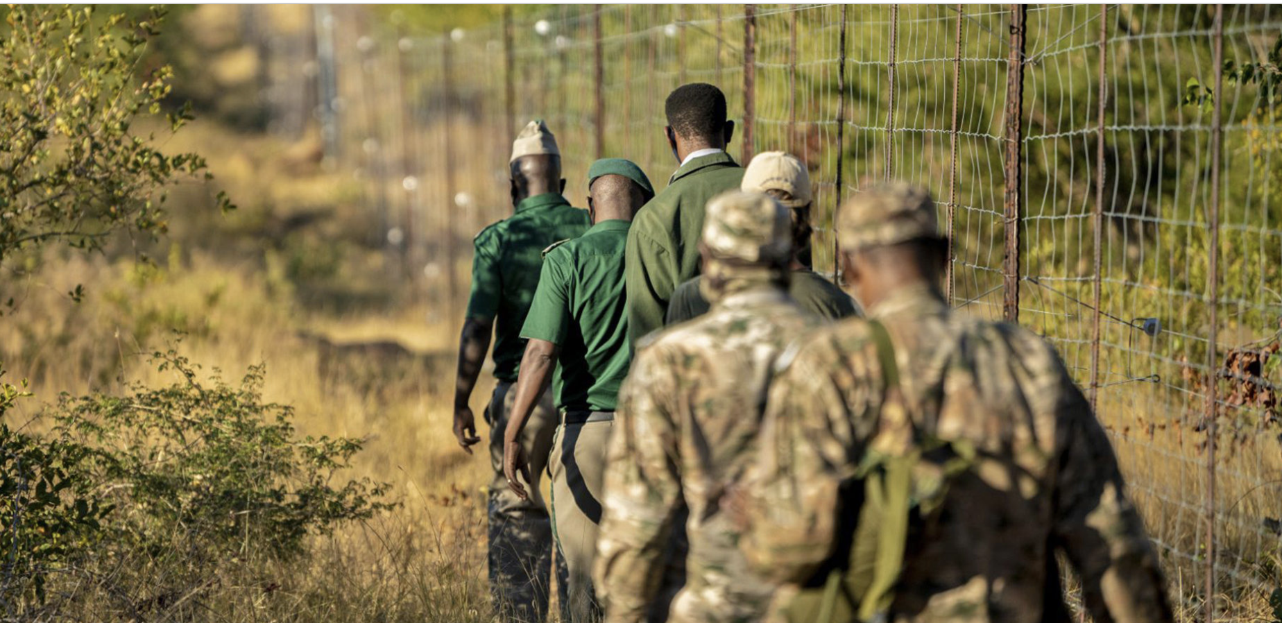 Parks, the Dutch Technologists Tackling Poaching With Technology